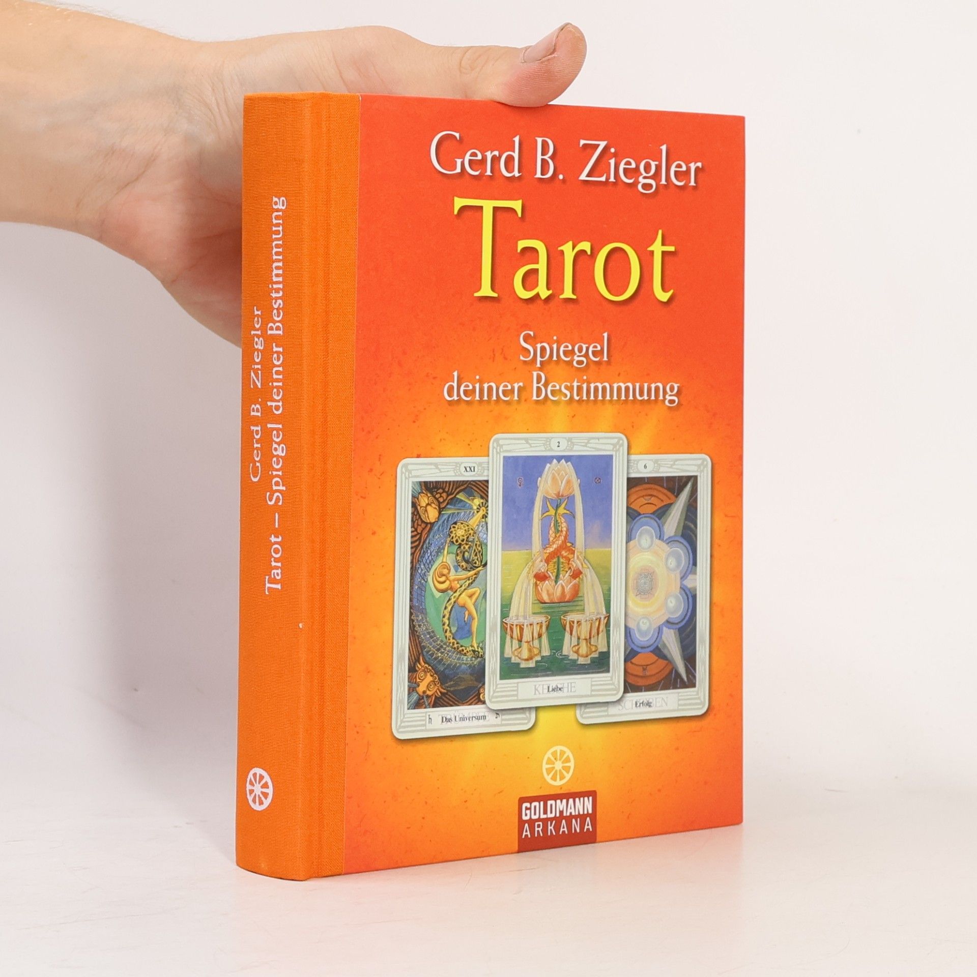 Gerd Ziegler Tarot - Spiegel deiner Bestimmung