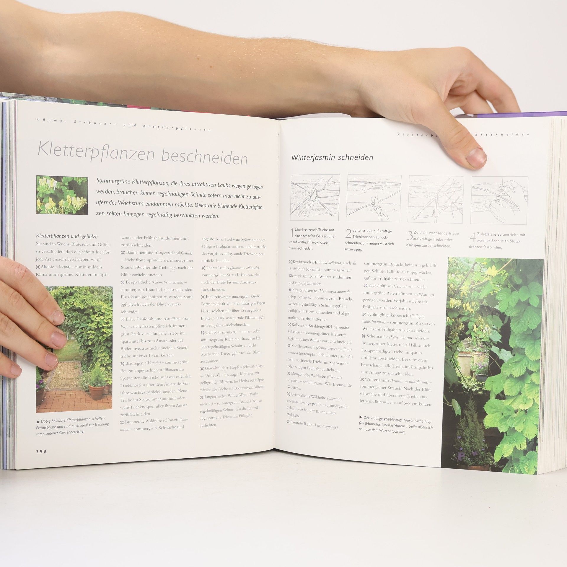 Kolektiv autorů Das große Gartenbuch