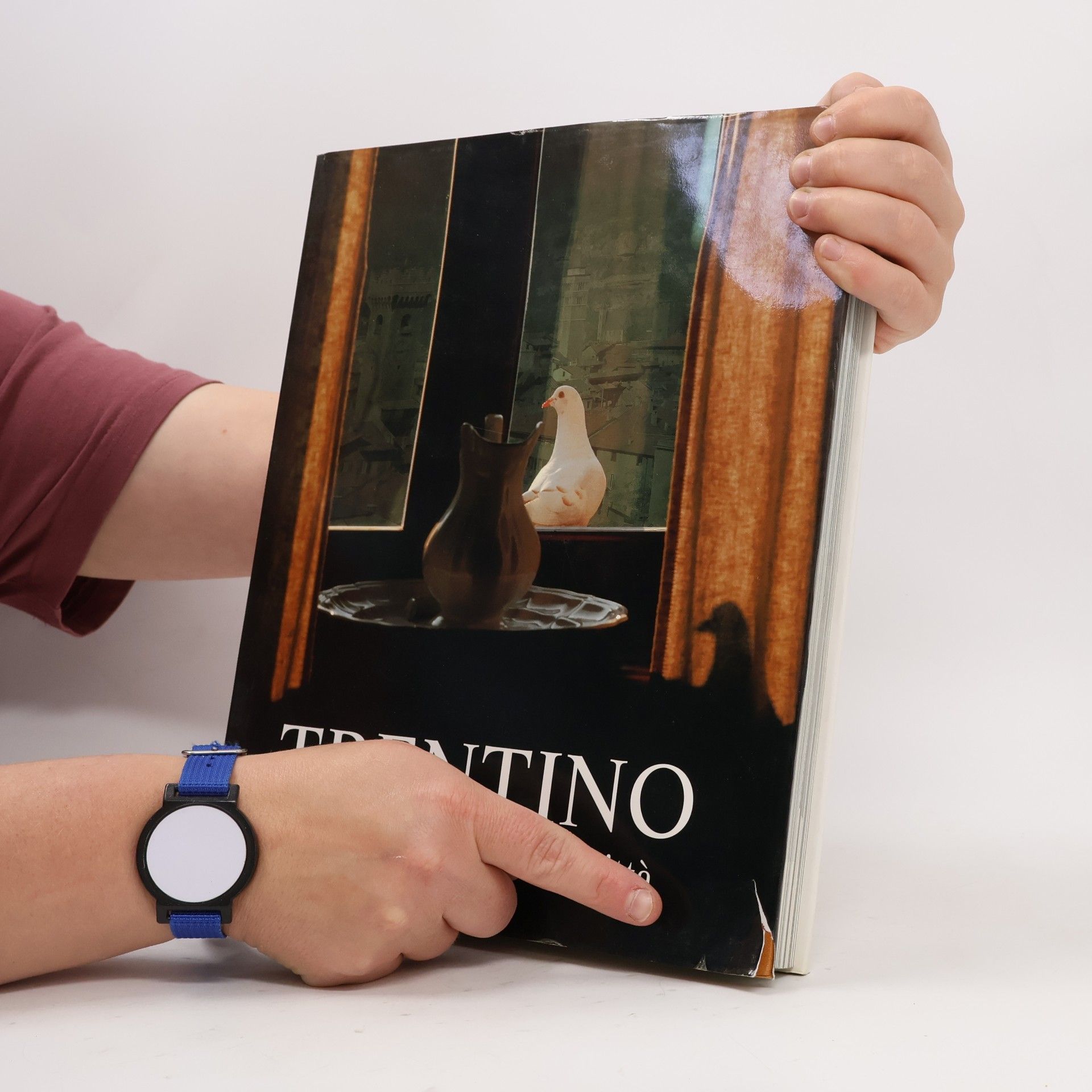 Battaglia Trentino