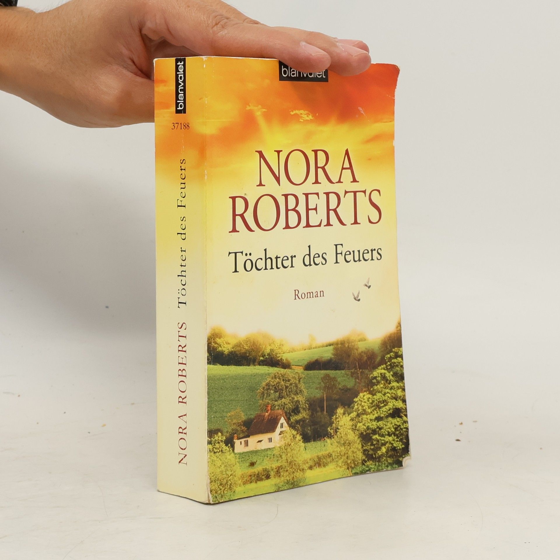 Nora Roberts Töchter des Feuers