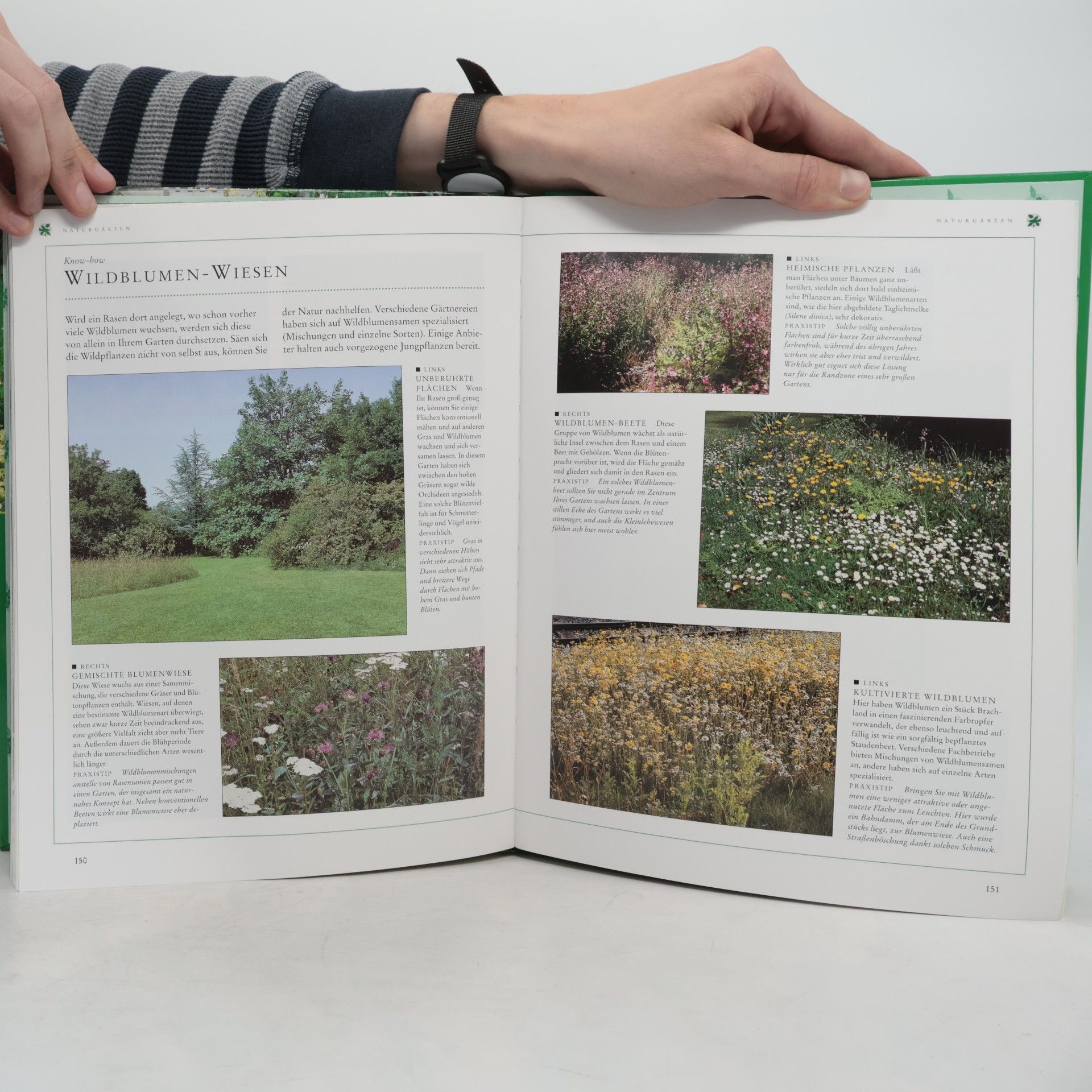 Peter McHoy Das große Buch der Gartenplanung