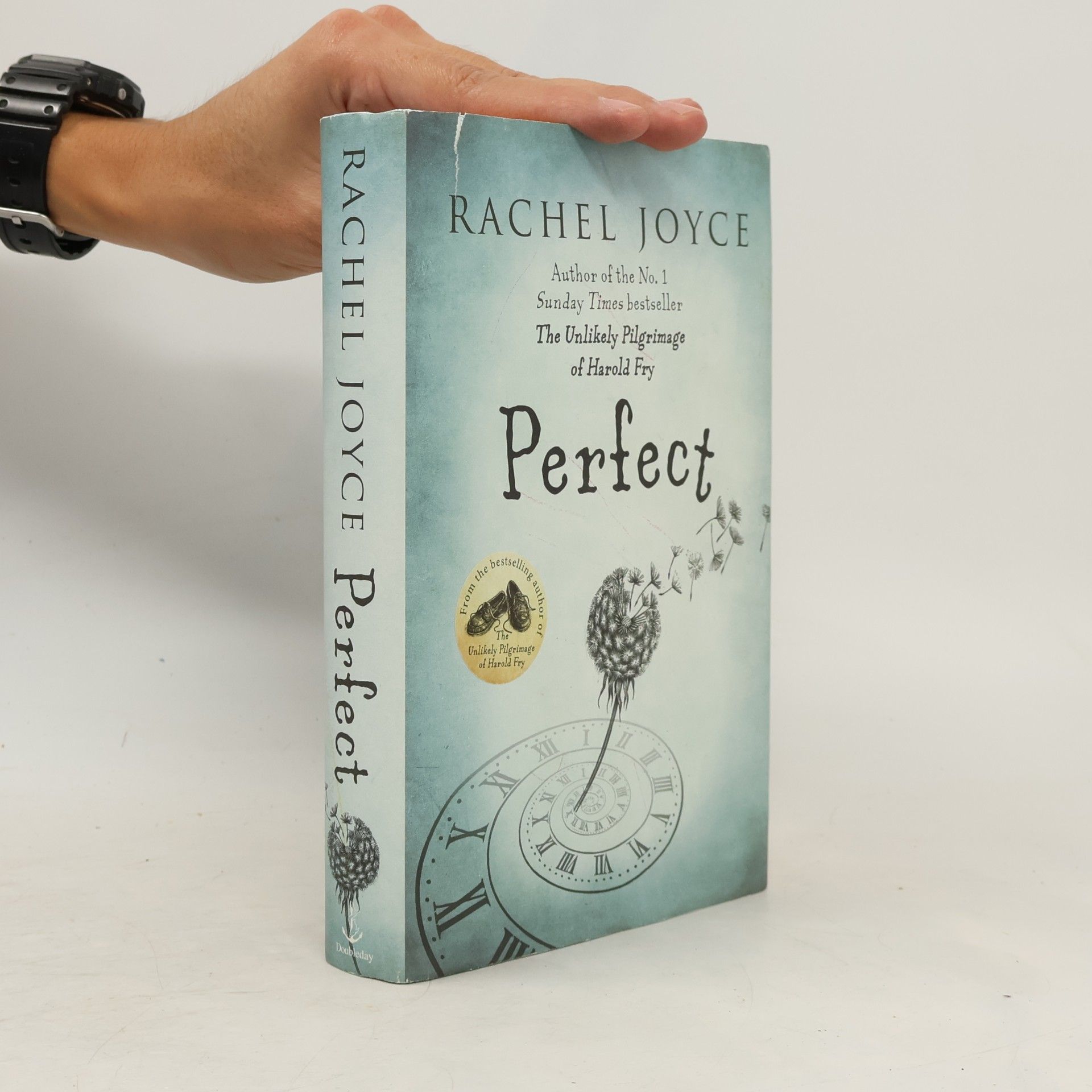 Rachel Joyce Perfect