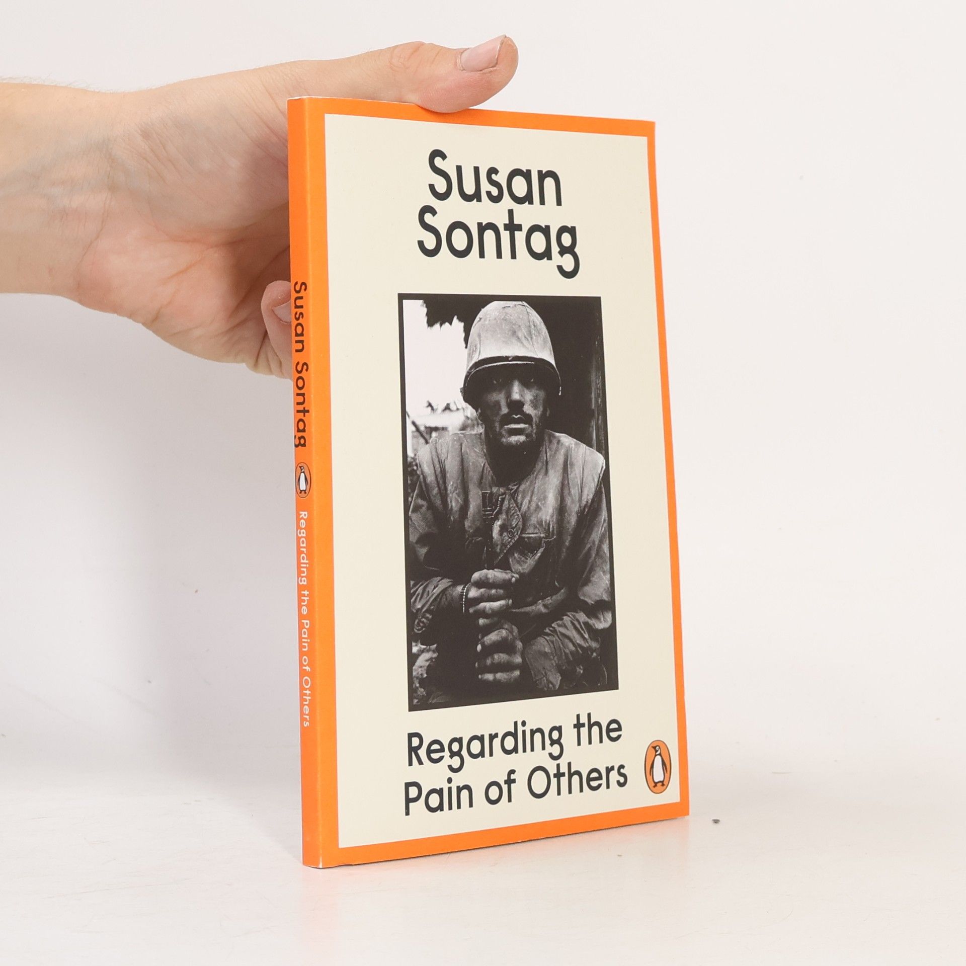Susan Sontag Regarding the pain of others