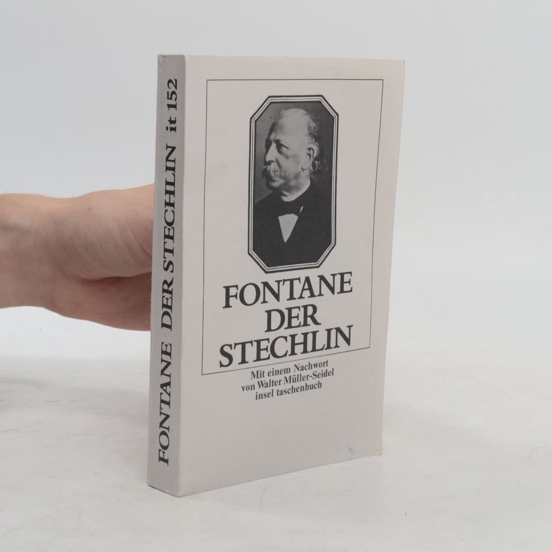 Theodor Fontane Der Stechlin