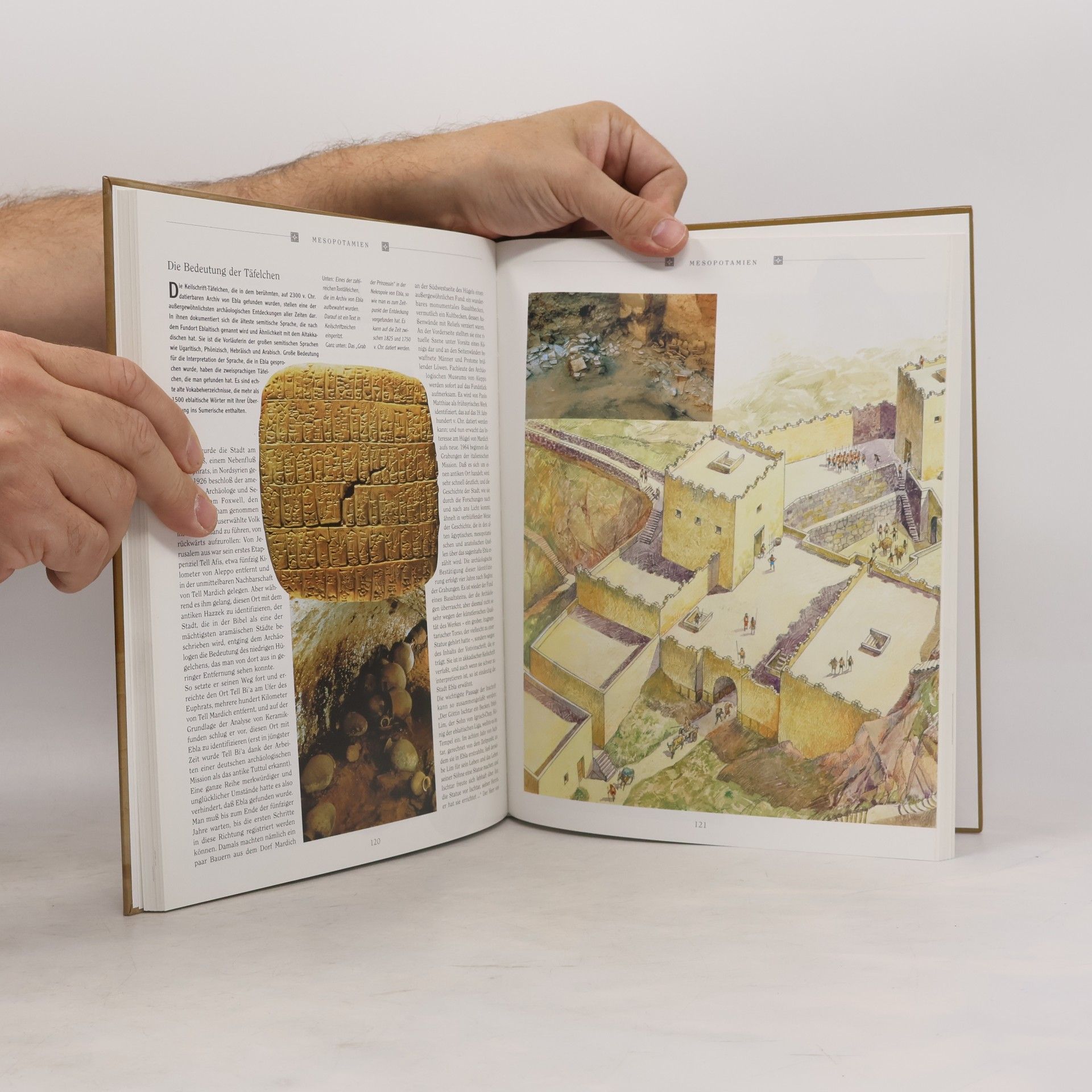 Autorenkollektiv Die Ägypter und die ersten Hochkulturen
