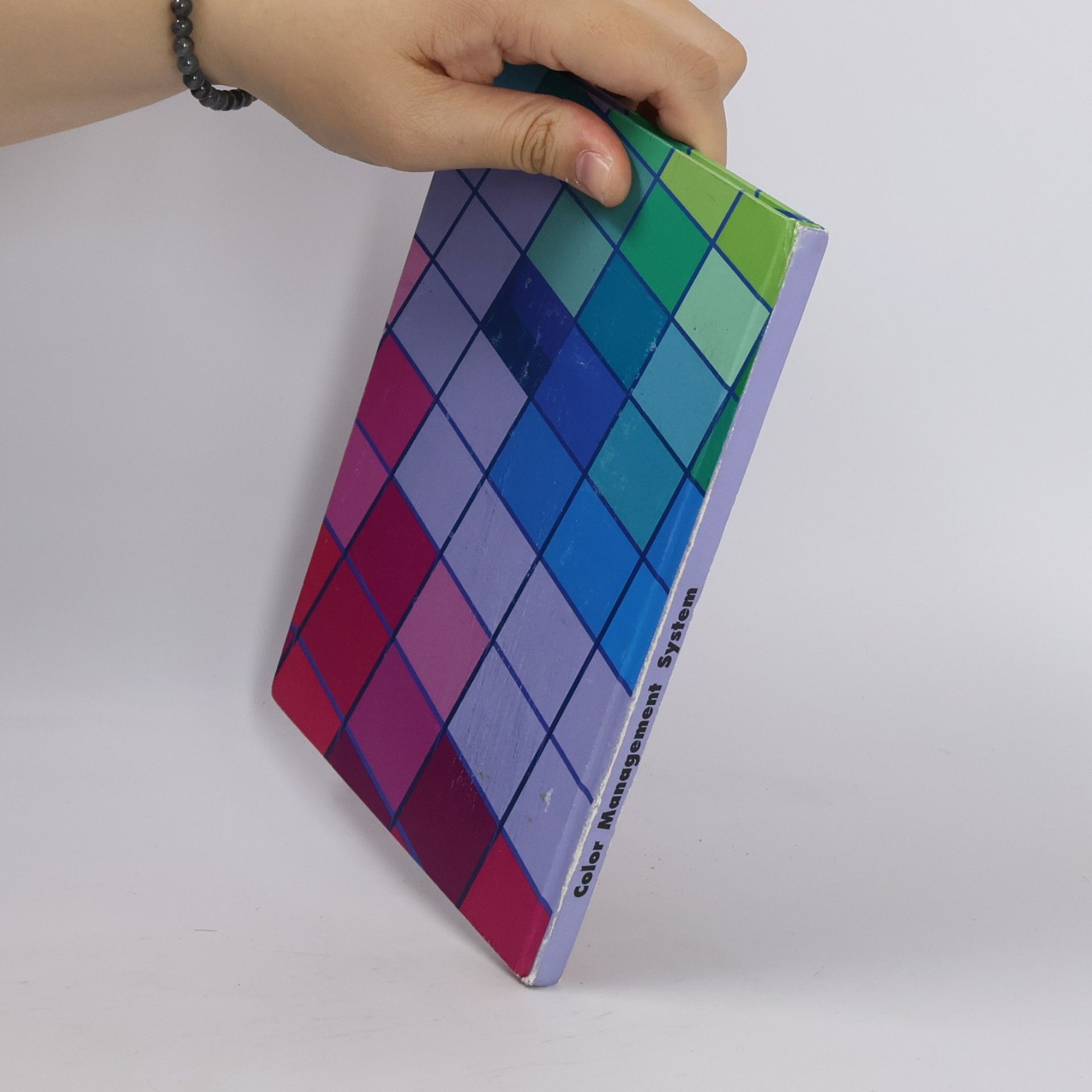Pavel Kočička Color Management System