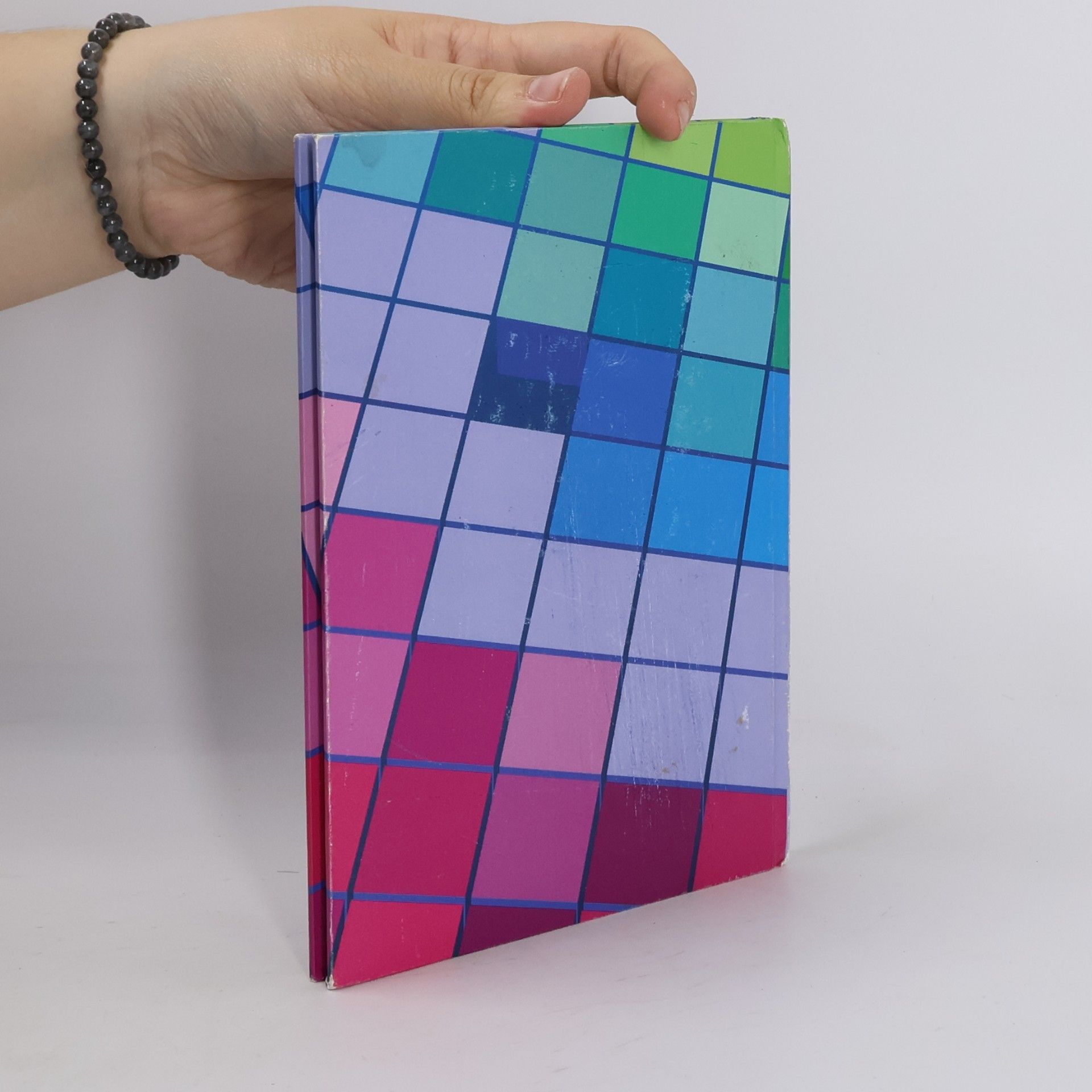 Pavel Kočička Color Management System