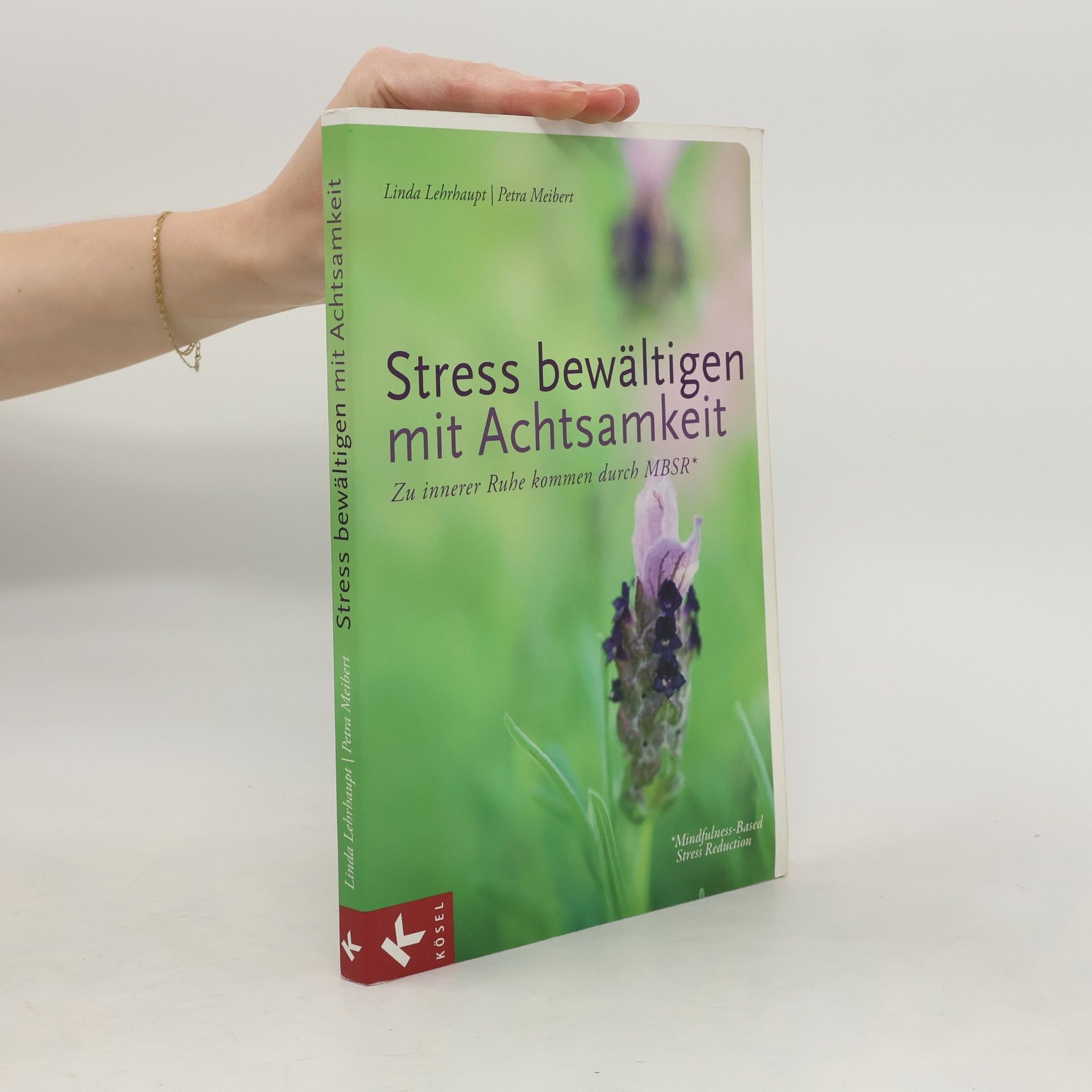 Petra Meibert Stress bewältigen mit Achtsamkeit. Zu innerer Ruhe kommen durch MBSR* - *Mindfulness-Based Stress Reduction
