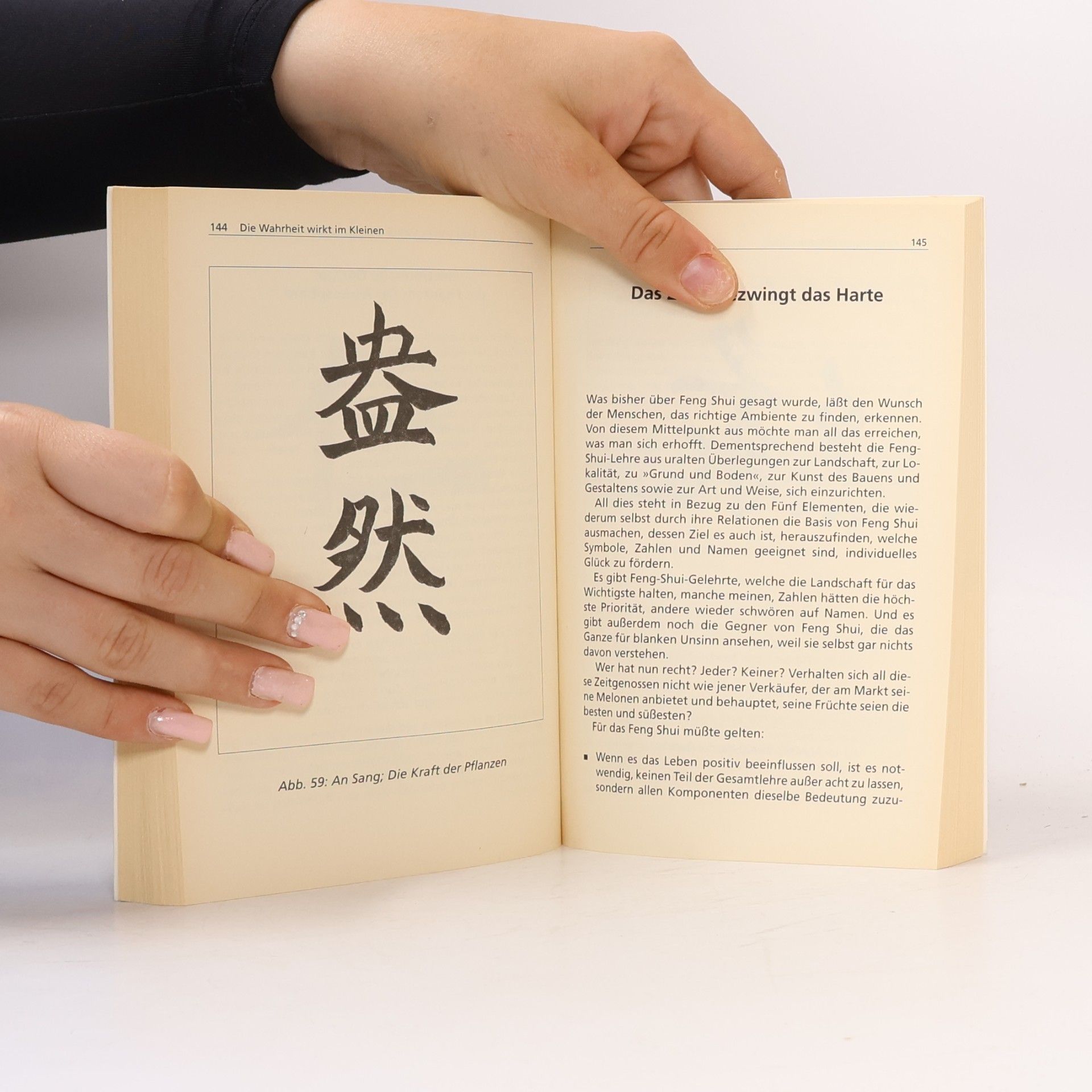 Chao Hsiu Chen Feng Shui: Gesund und glücklich wohnen in Buddhas Haus und Garten