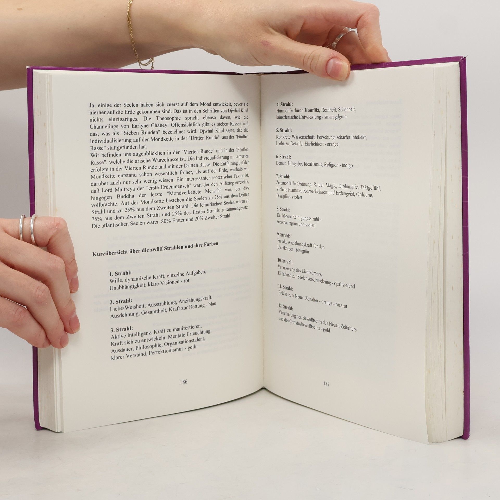 Joshua David Stone Das komplette Aufstiegs-Handbuch