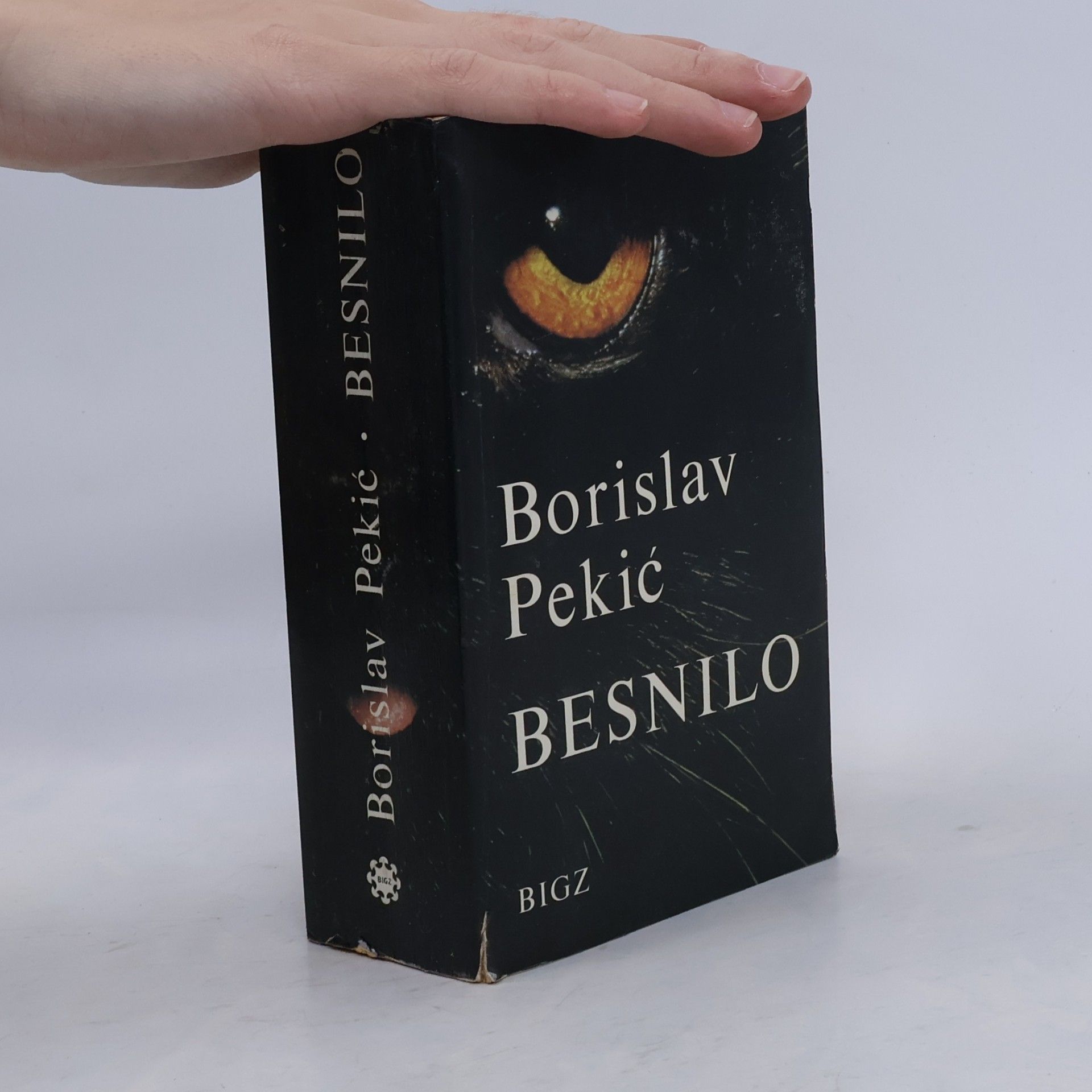 Besnilo