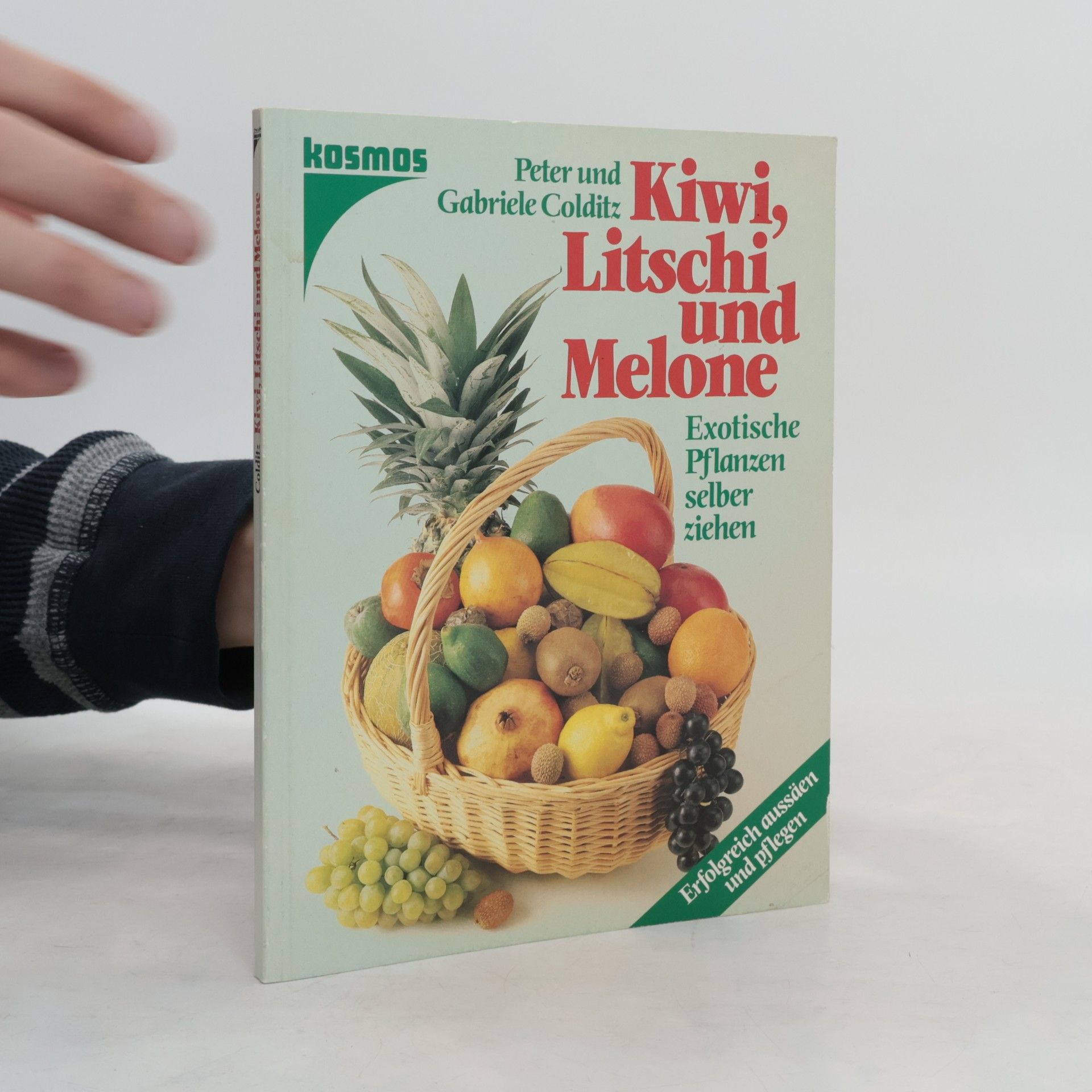 Kiwi, Litschi und Melone