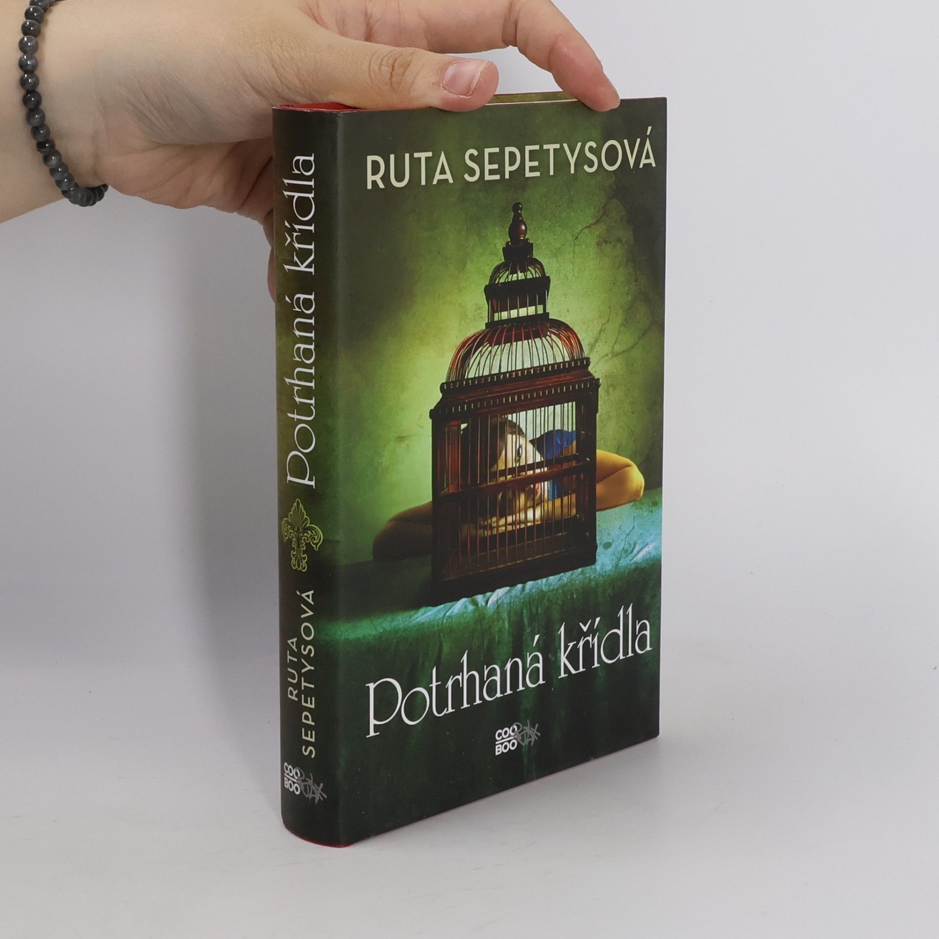 Ruta Sepetys Potrhaná křídla
