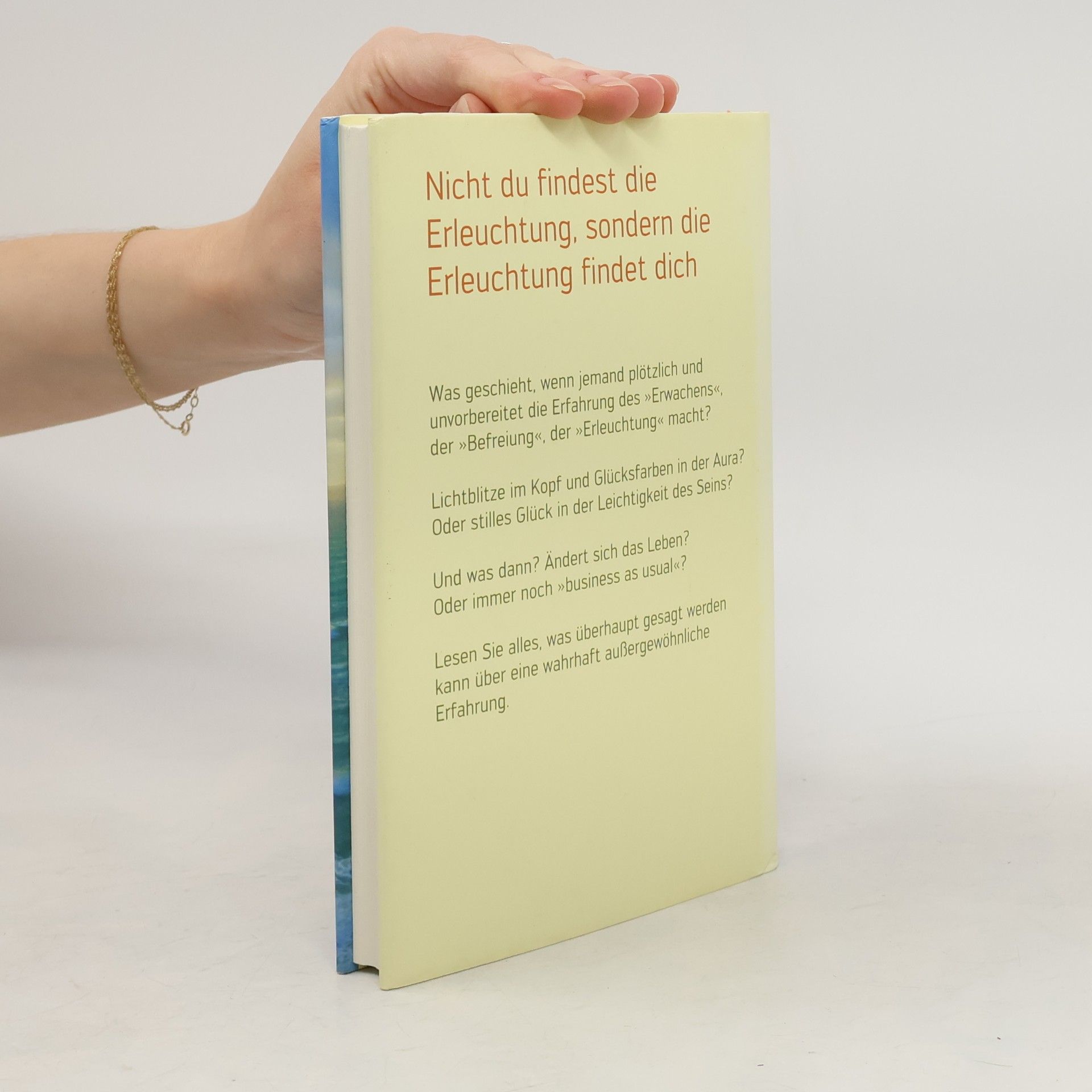 Richard Sylvester Erleuchtet - und was jetzt? Von den Freuden und Leiden eines befreiten Bewusstseins