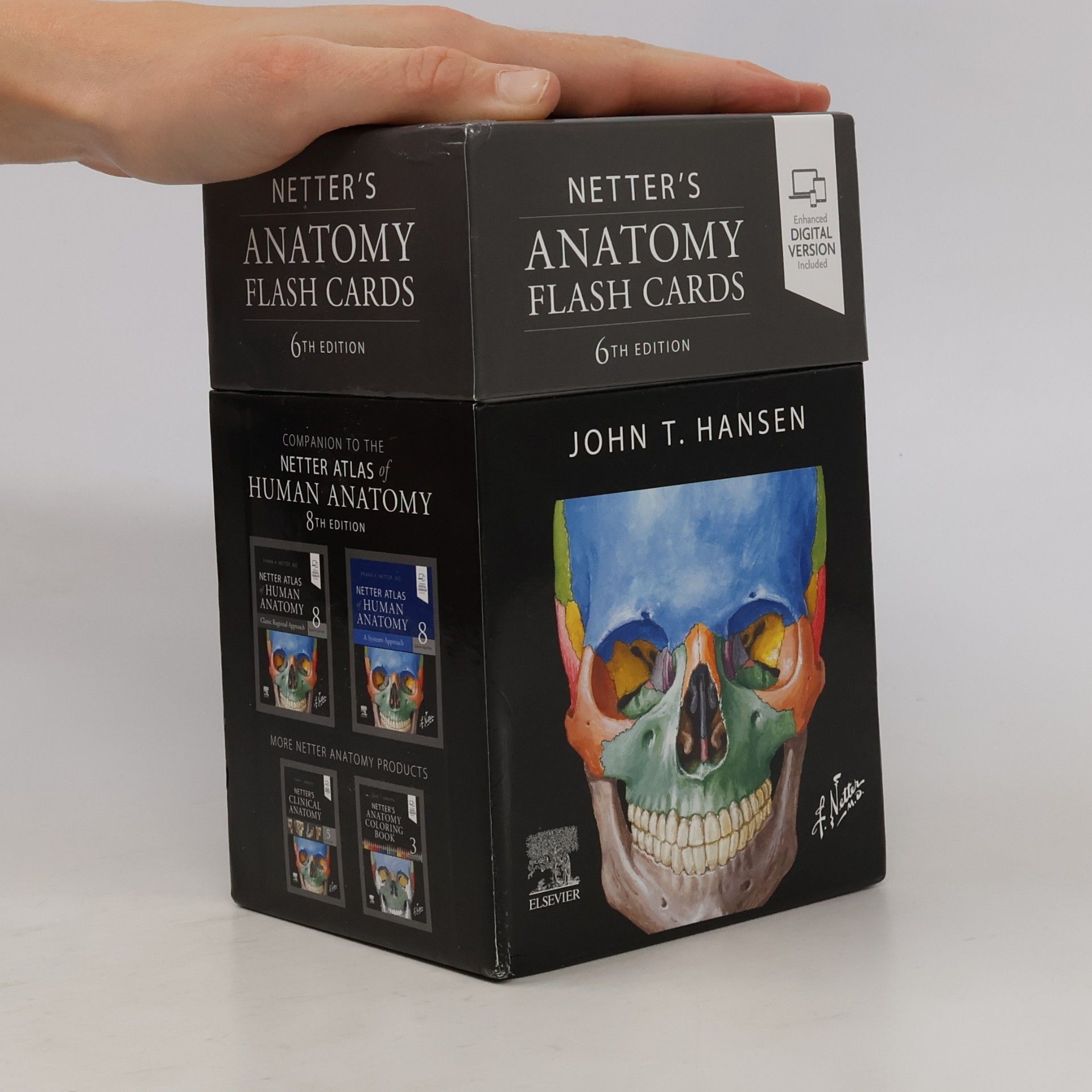 John T. Hansen Netter's Anatomy Flash Cards