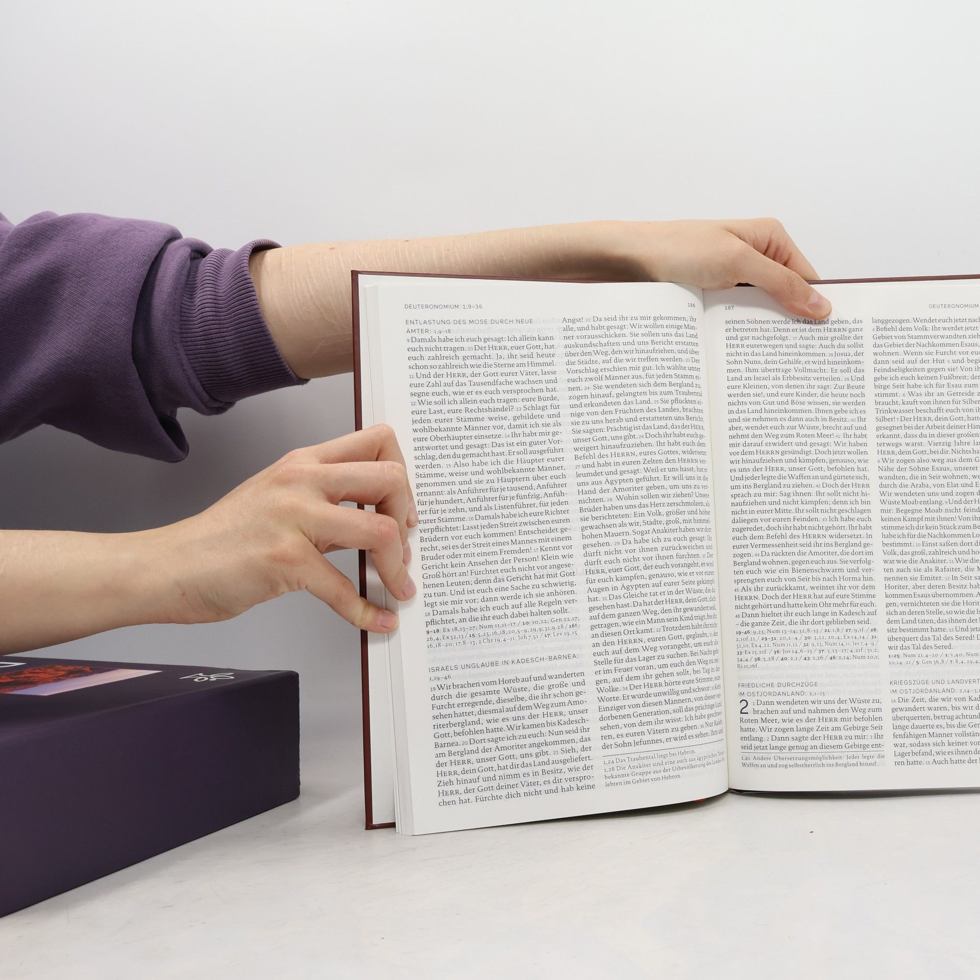 Various authors Die Bibel