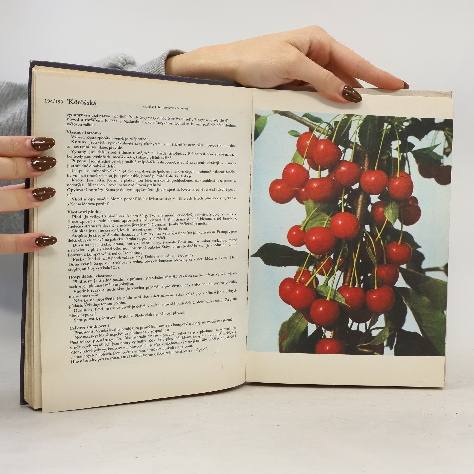 Antonín Dvořák Atlas odrůd ovoce