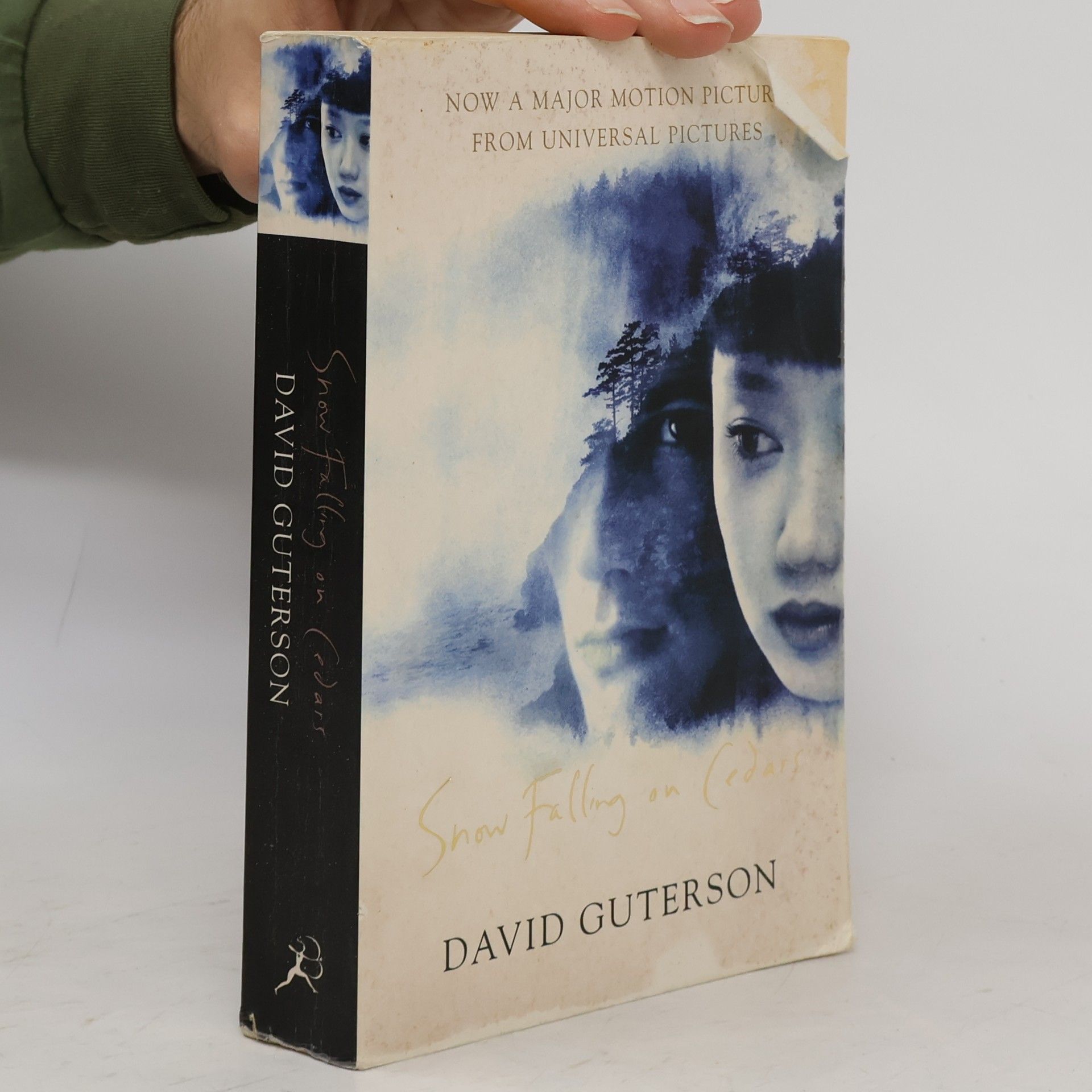 David Guterson Snow falling on cedars