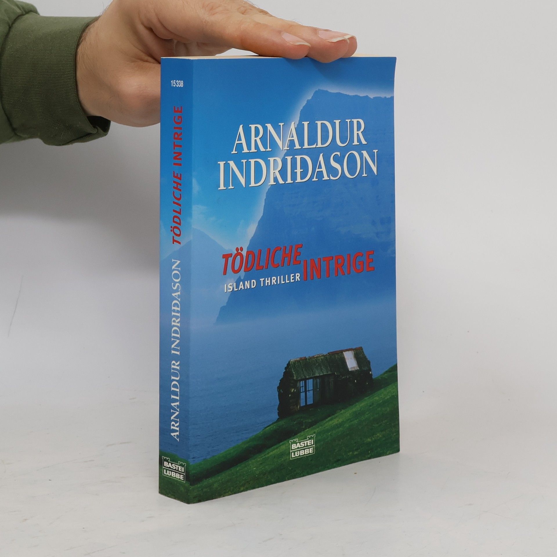 Arnaldur Indridason Tödliche Intrige