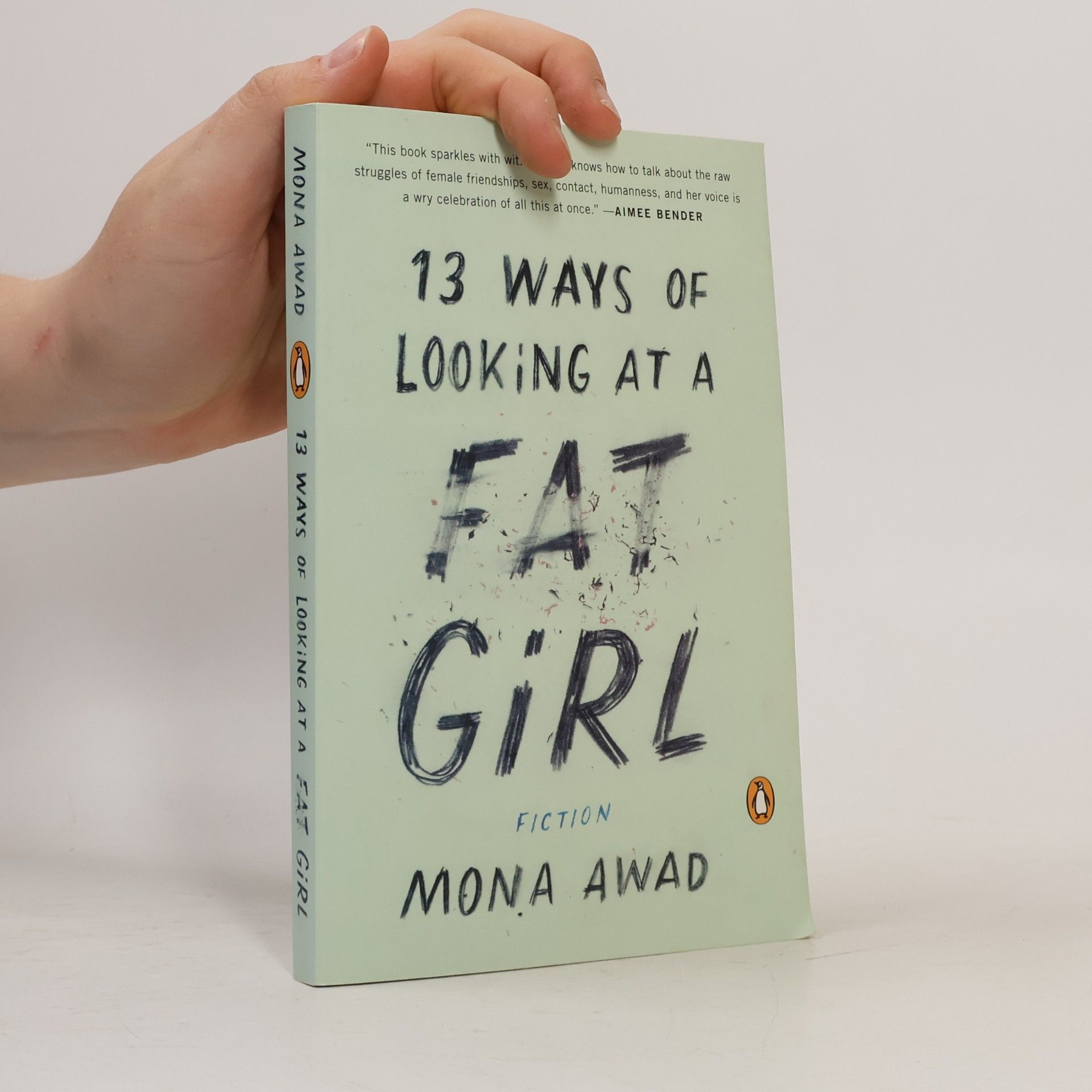 Mona Awad 13 ways of looking at a fat girl