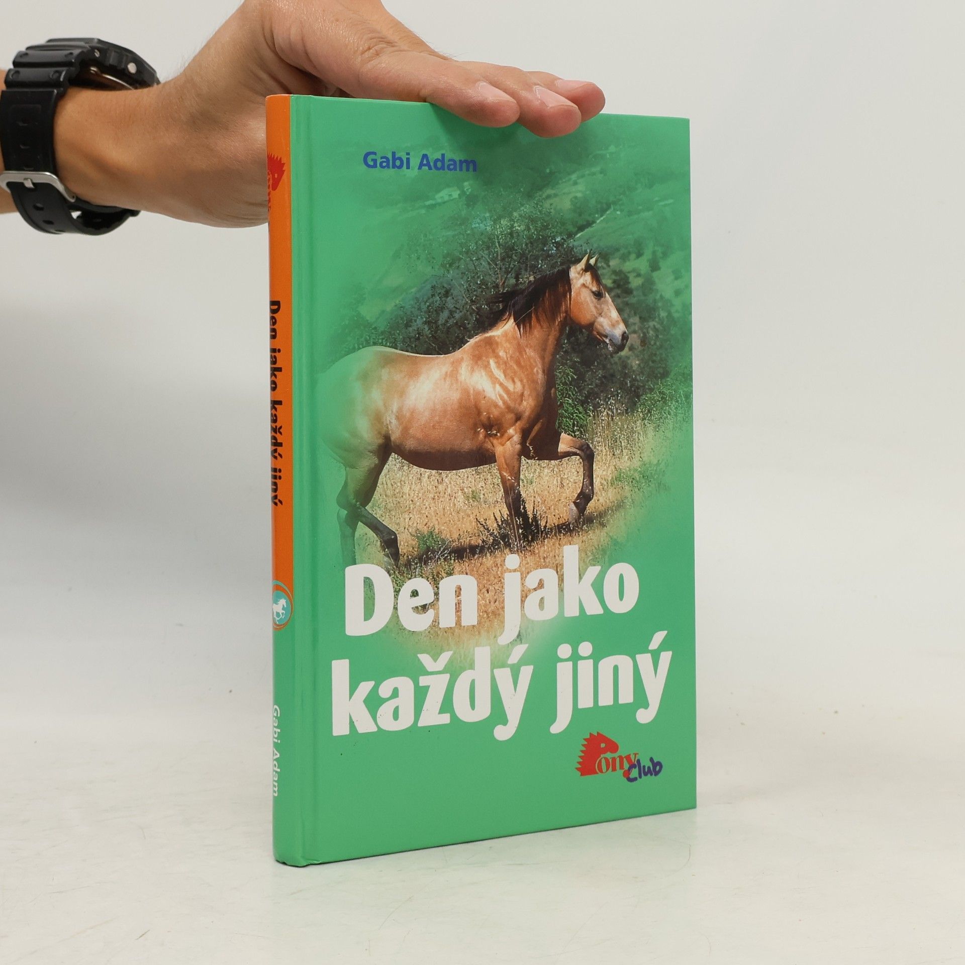 Gabi Adam Den jako každý jiný