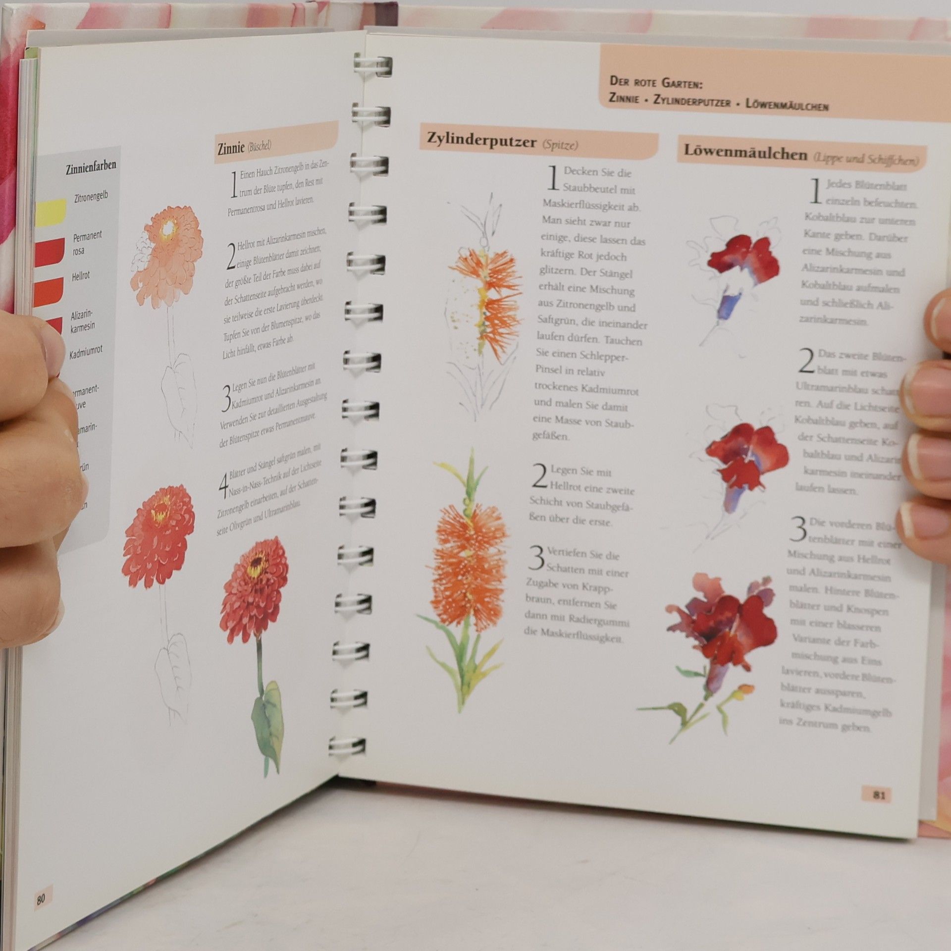 Claire Waite Brown Handbuch Aquarellmalerei Blumen