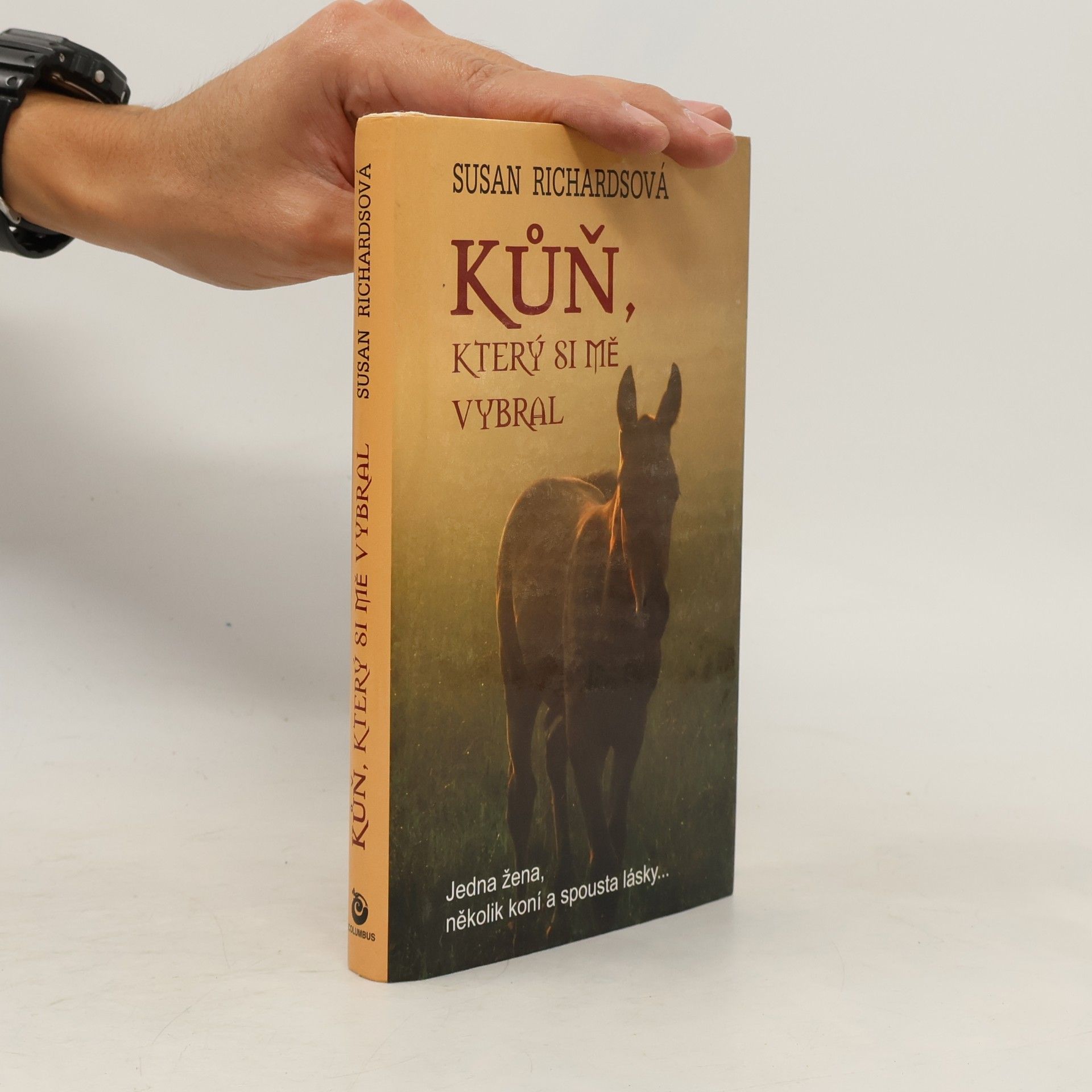 Susan Richards Kůň, který si mě vybral : jedna žena, několik koní a spousta lásky