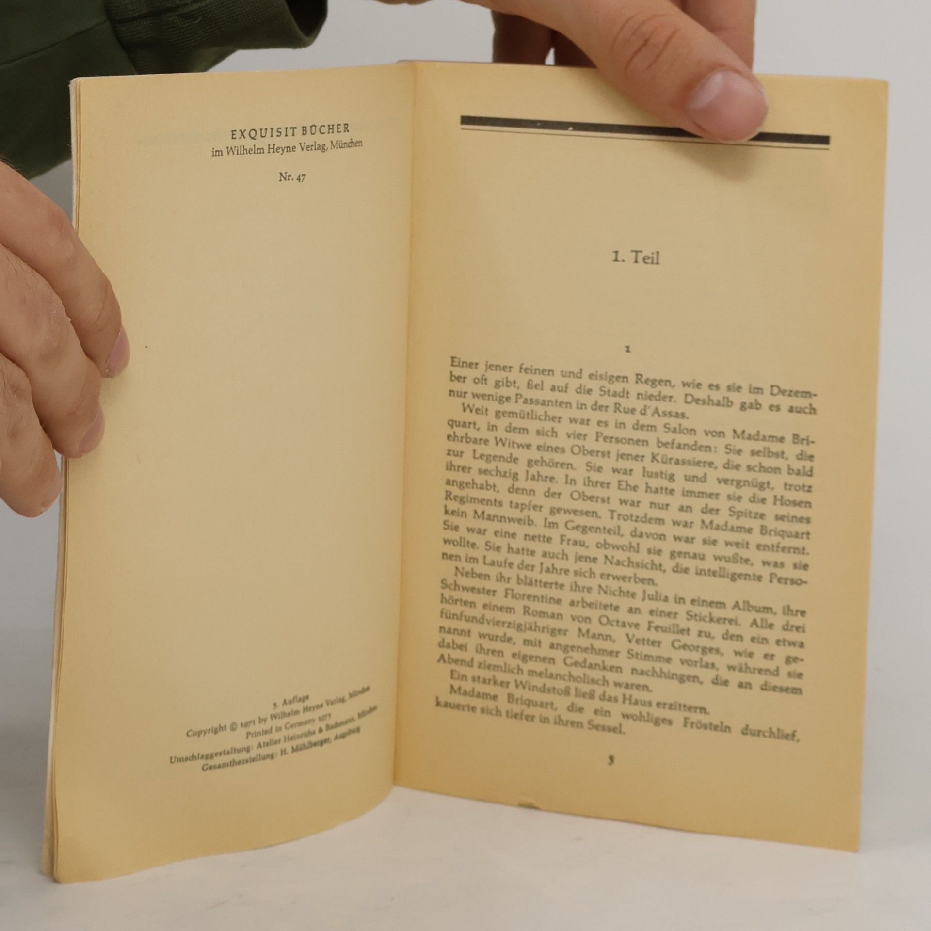Guy de Maupassant Die Nichten der Frau Oberst