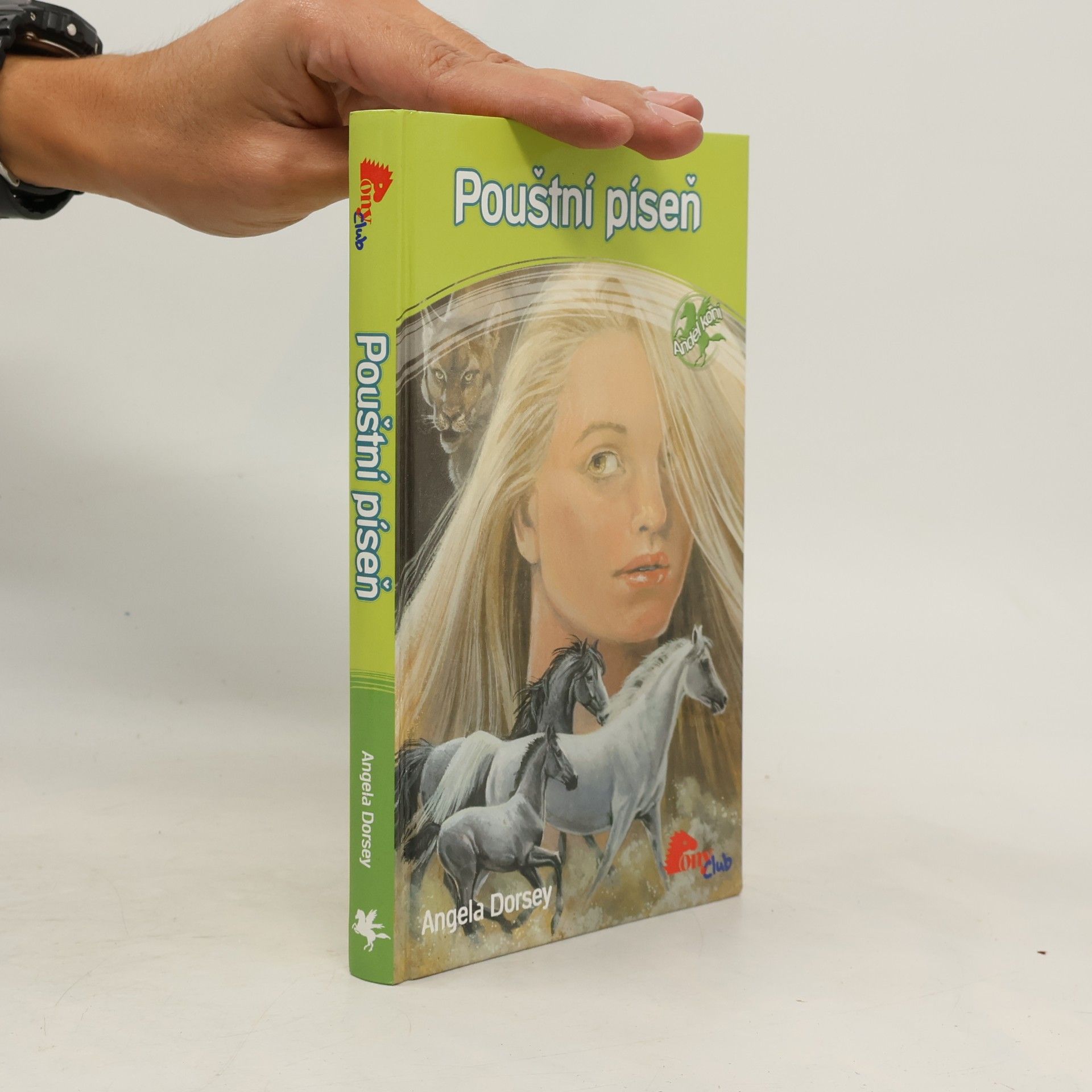 Angela Dorsey Pouštní píseň