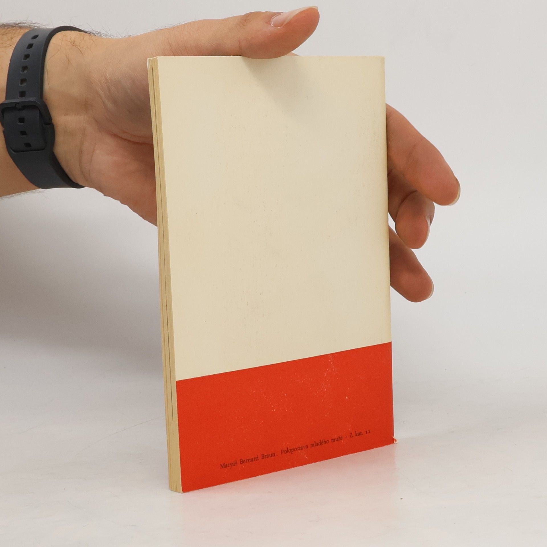 Autorenkollektiv Barok v Čechách. Výběr architektury, plastiky, malby a uměleckých řemesel 17. a 18. století