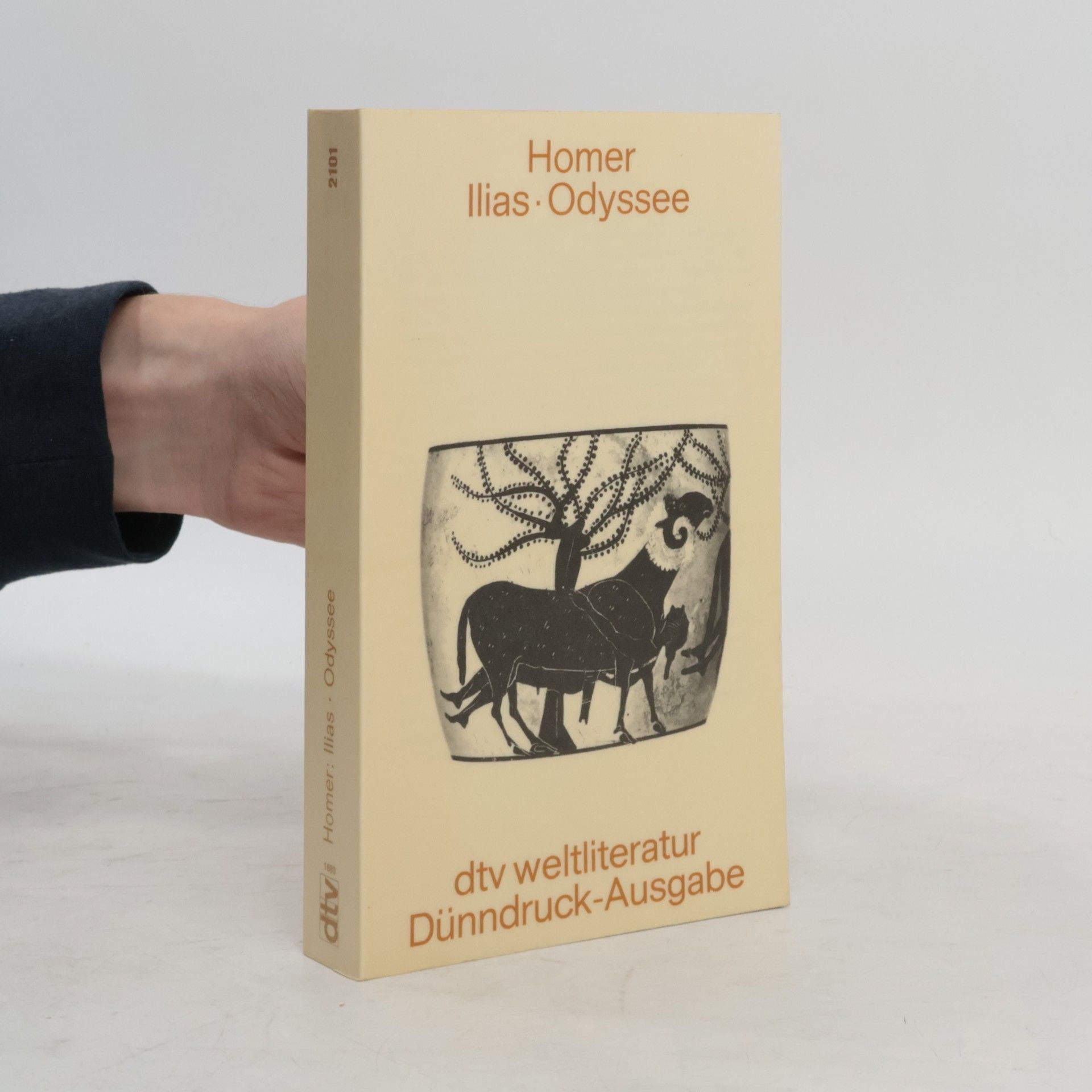Homér Ilias Odyssee