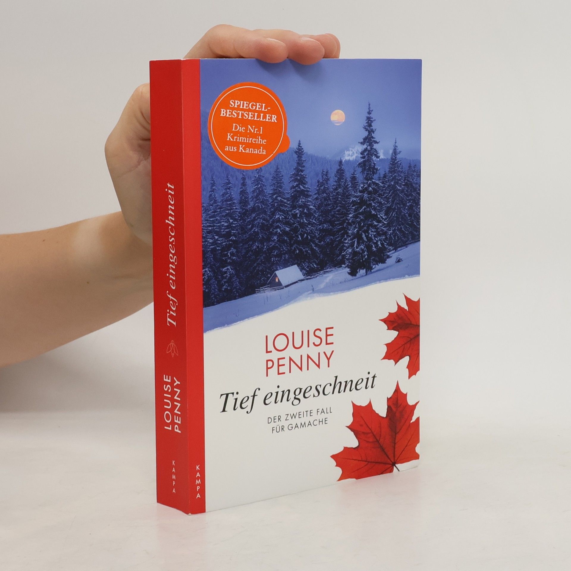 Louise Penny Tief eingeschneit