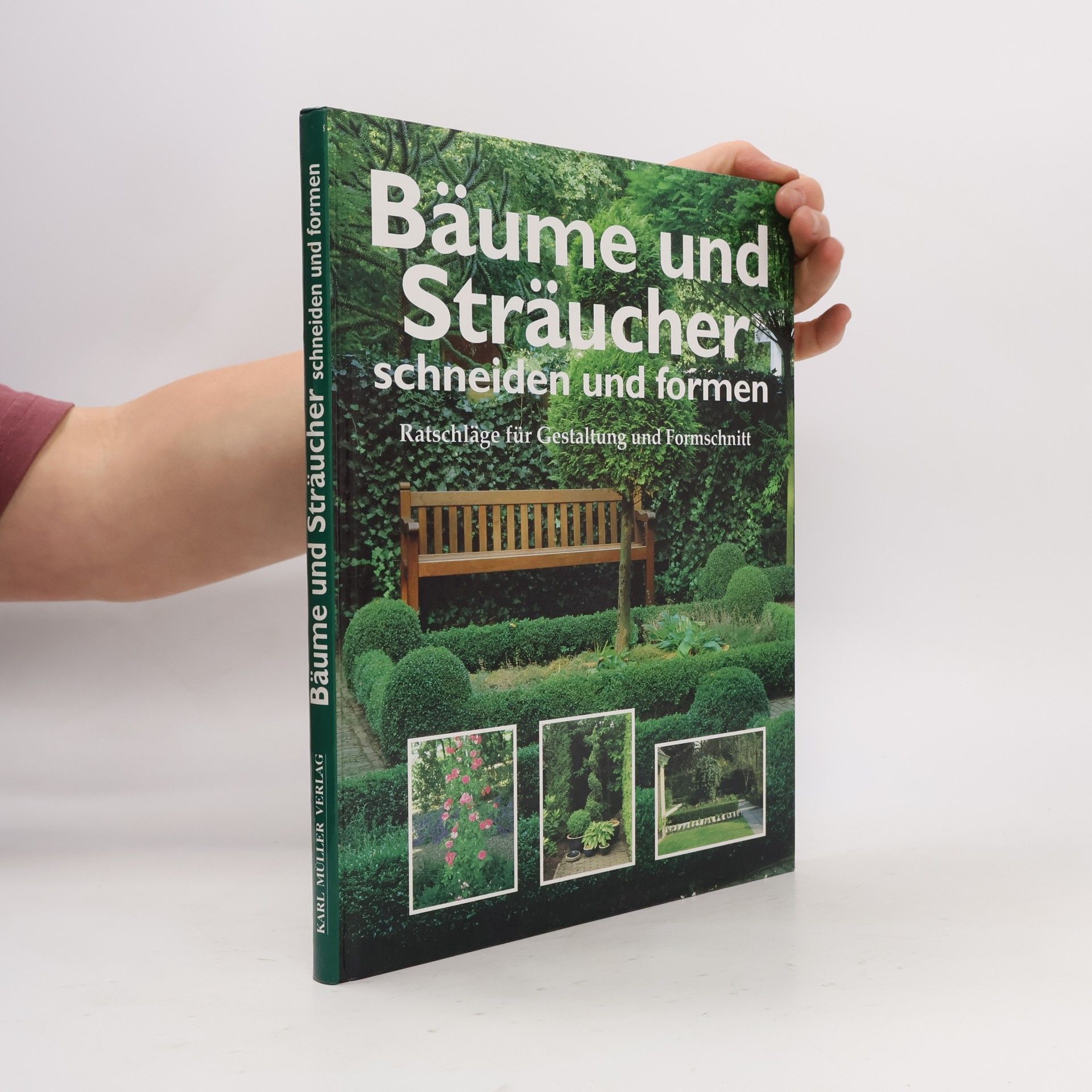 Bäume und Sträucher