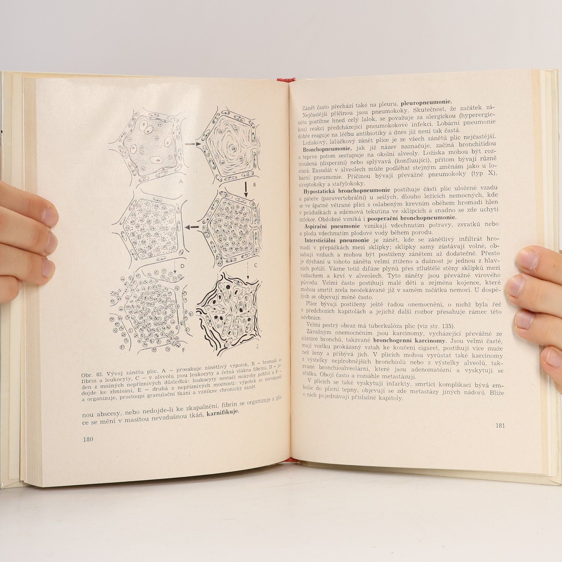 Čestmír Dvořáček Patologie