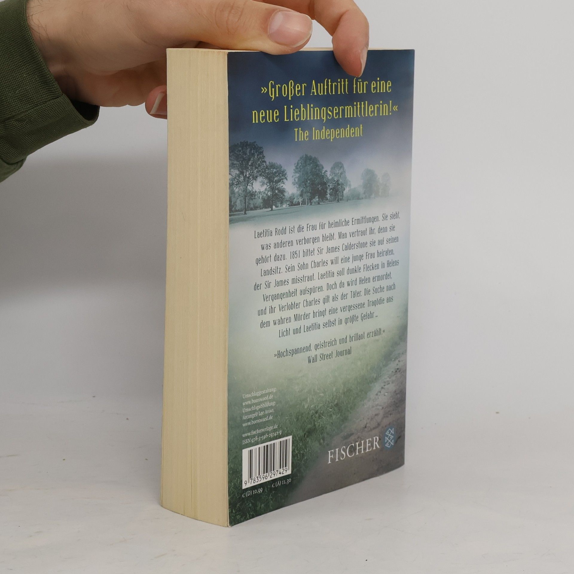 Kate Saunders Das Geheimnis von Wishtide Manor