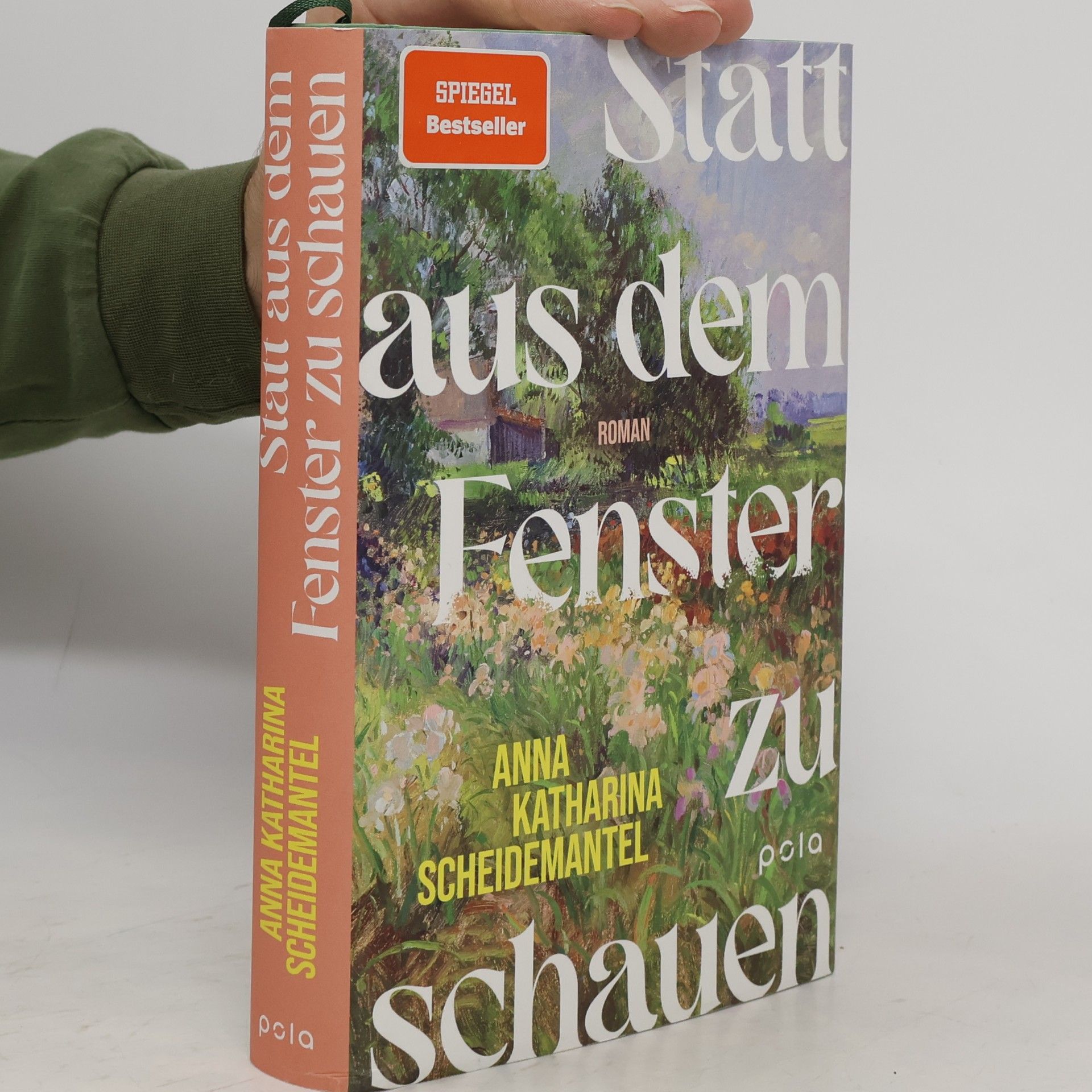Anna Katharina Scheidemantel Statt aus dem Fenster zu schauen