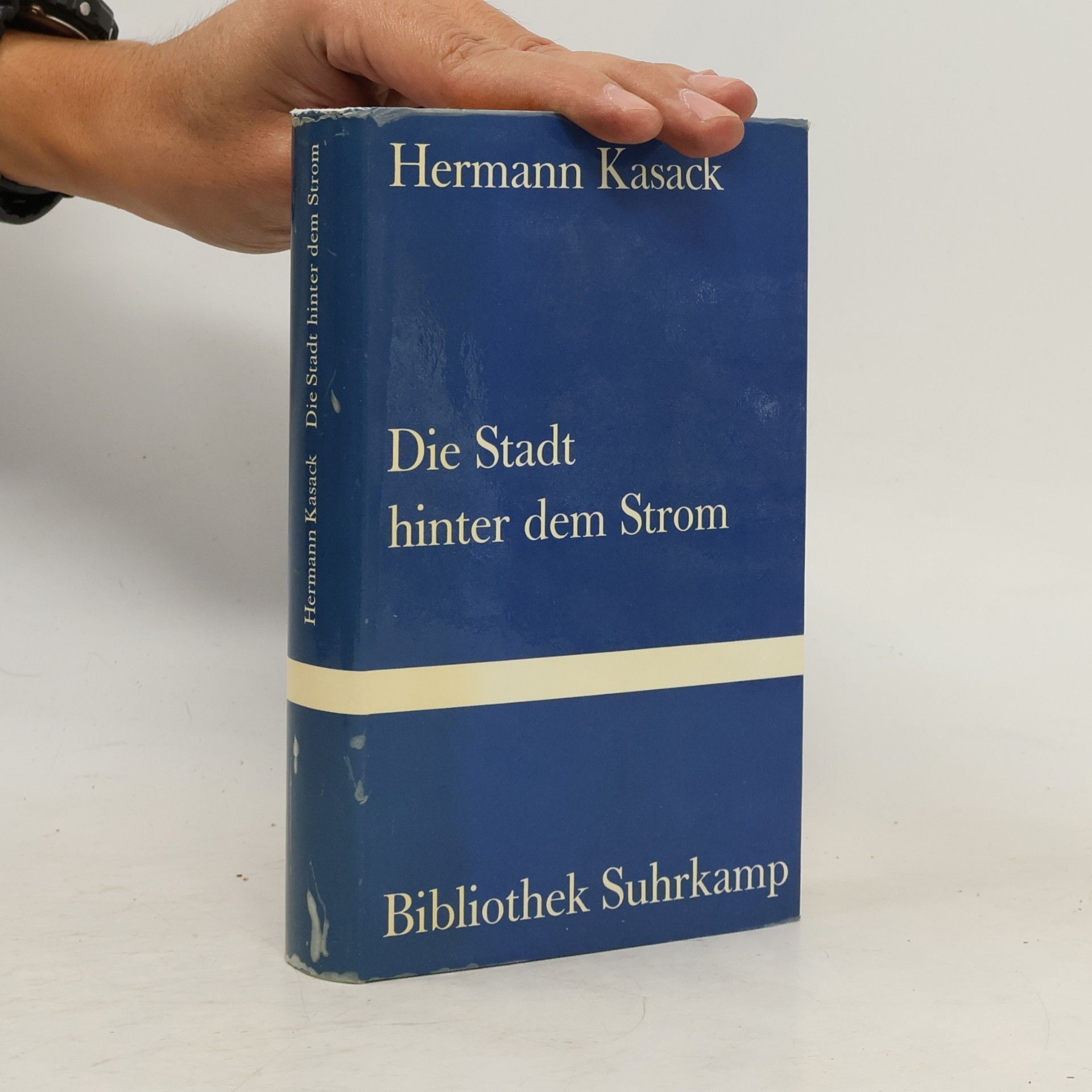 Hermann Kasack Die Stadt hinter dem Strom