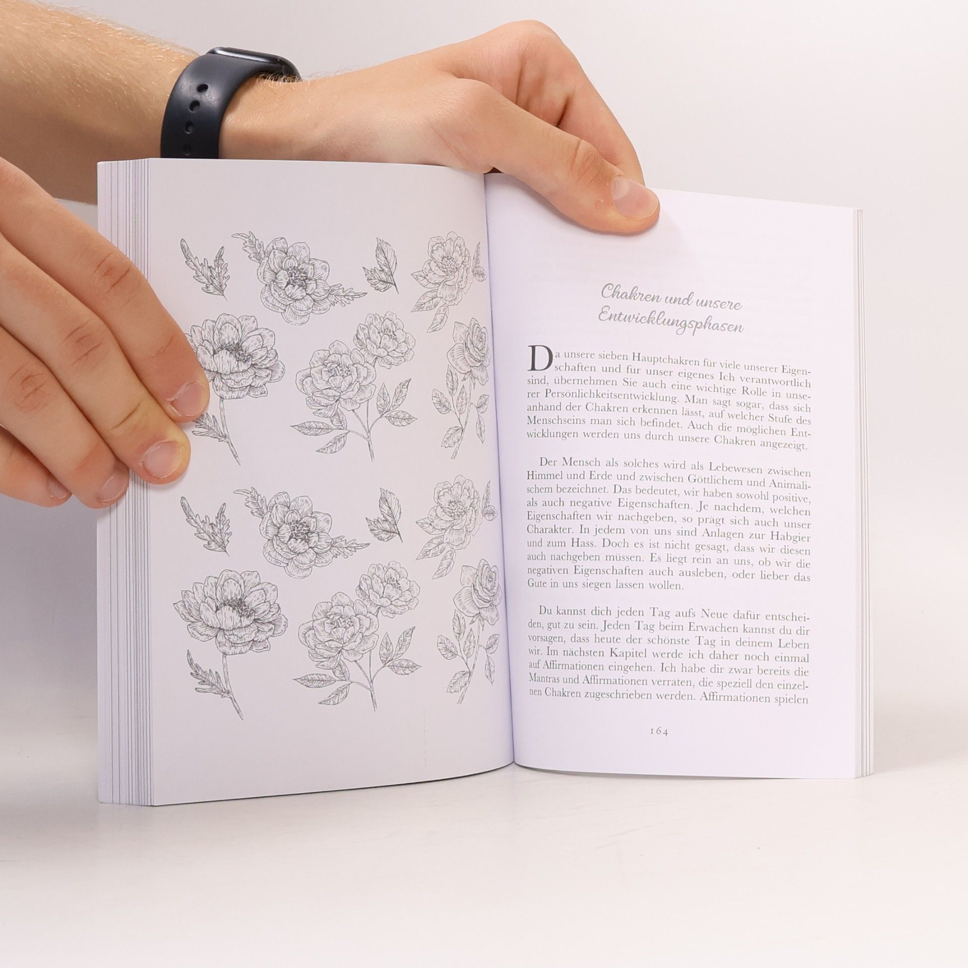 Ulrike Baumgartner Das Buch der 7 Chakren
