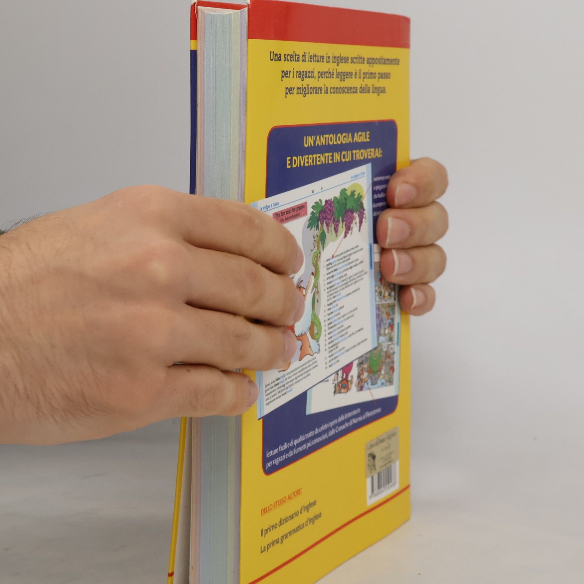 Paolo Petroni Le prime letture d'inglese