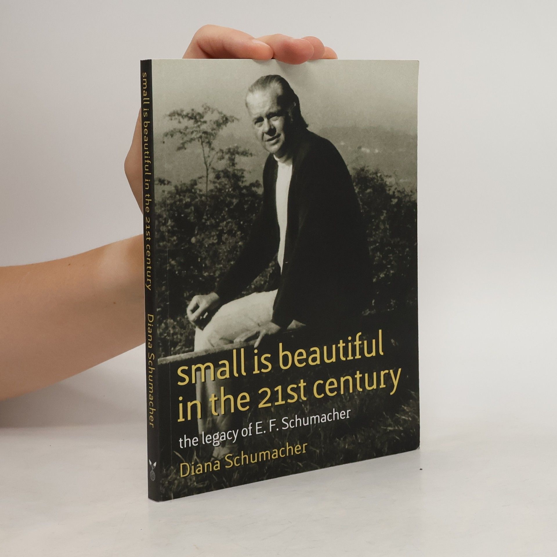 E. F. Schumacher Schumacher Briefing - 17: Small Is Beautiful in the 21st Century