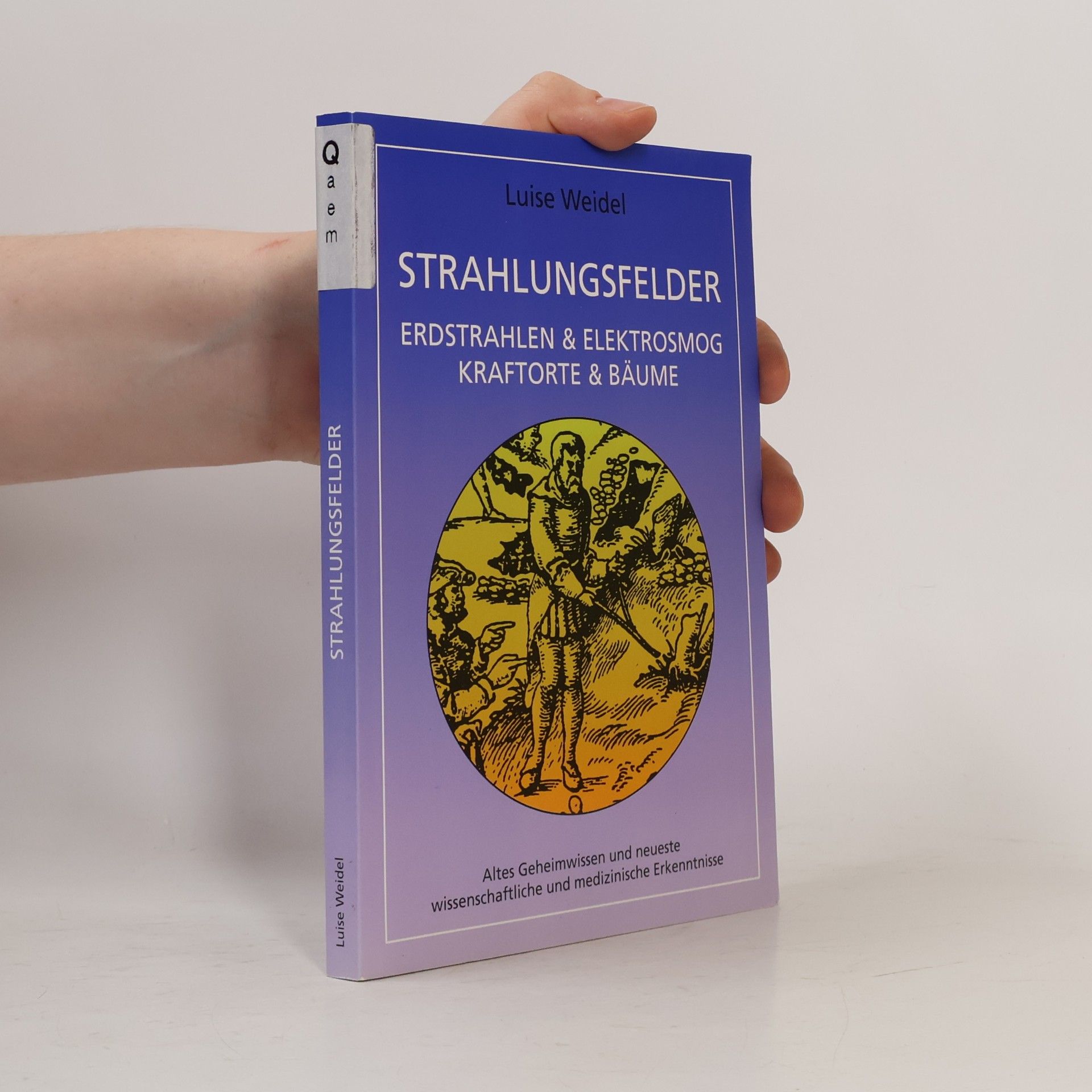 Luise Weidel Strahlungsfelder