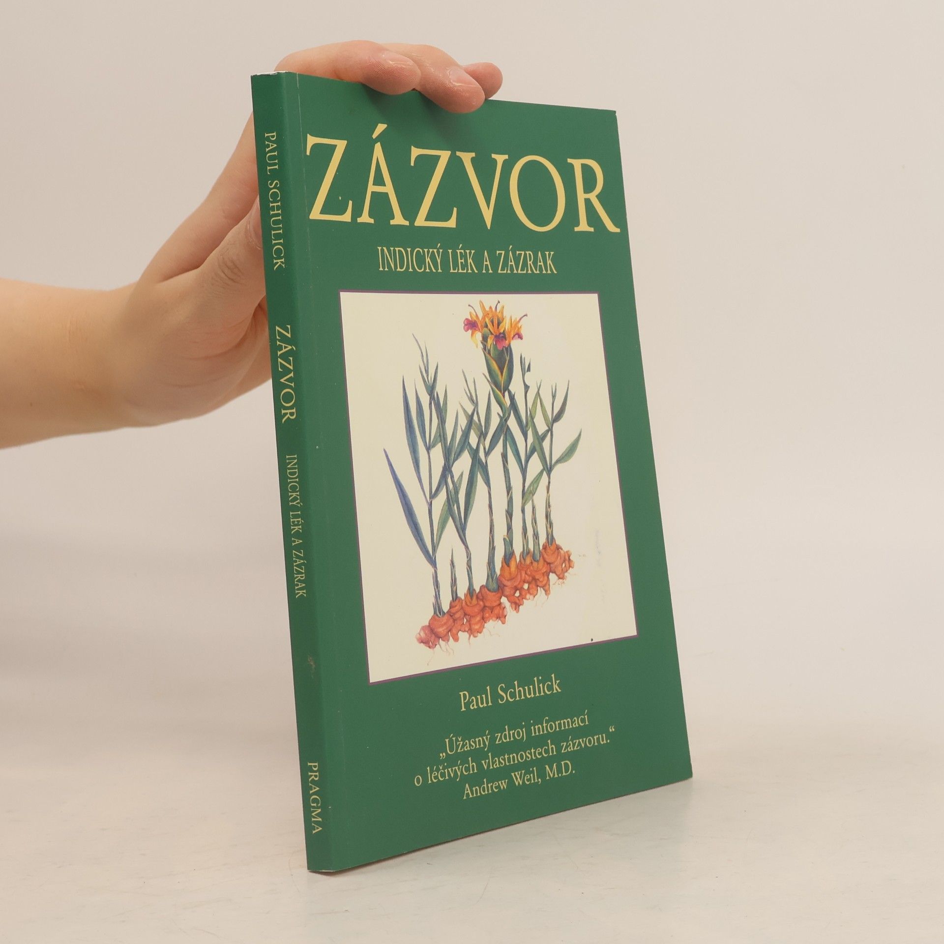 Paul Schulick Zázvor: Indický zázrak a lék