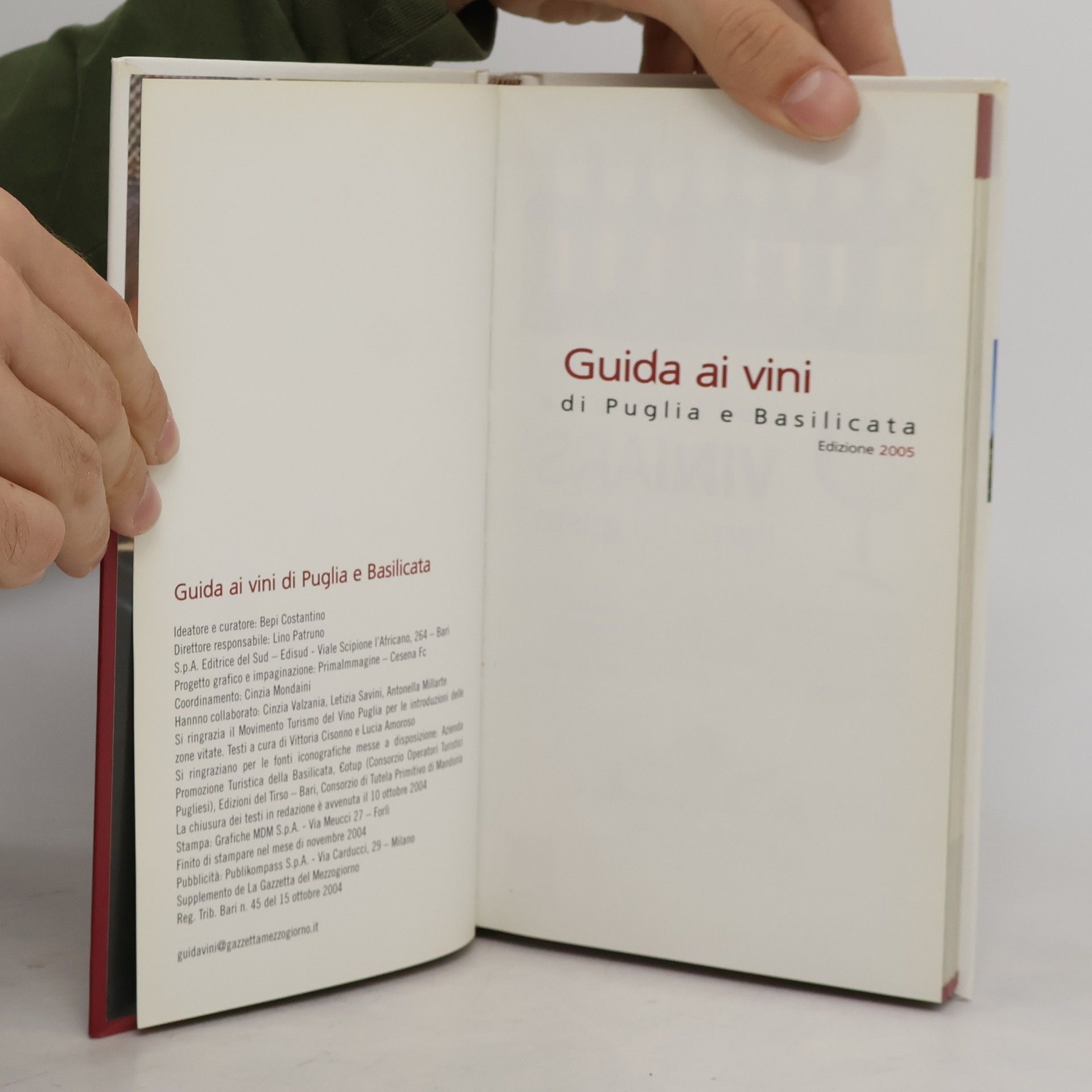 Kolektív autorov Guida ai vini di Puglia e Basilicata