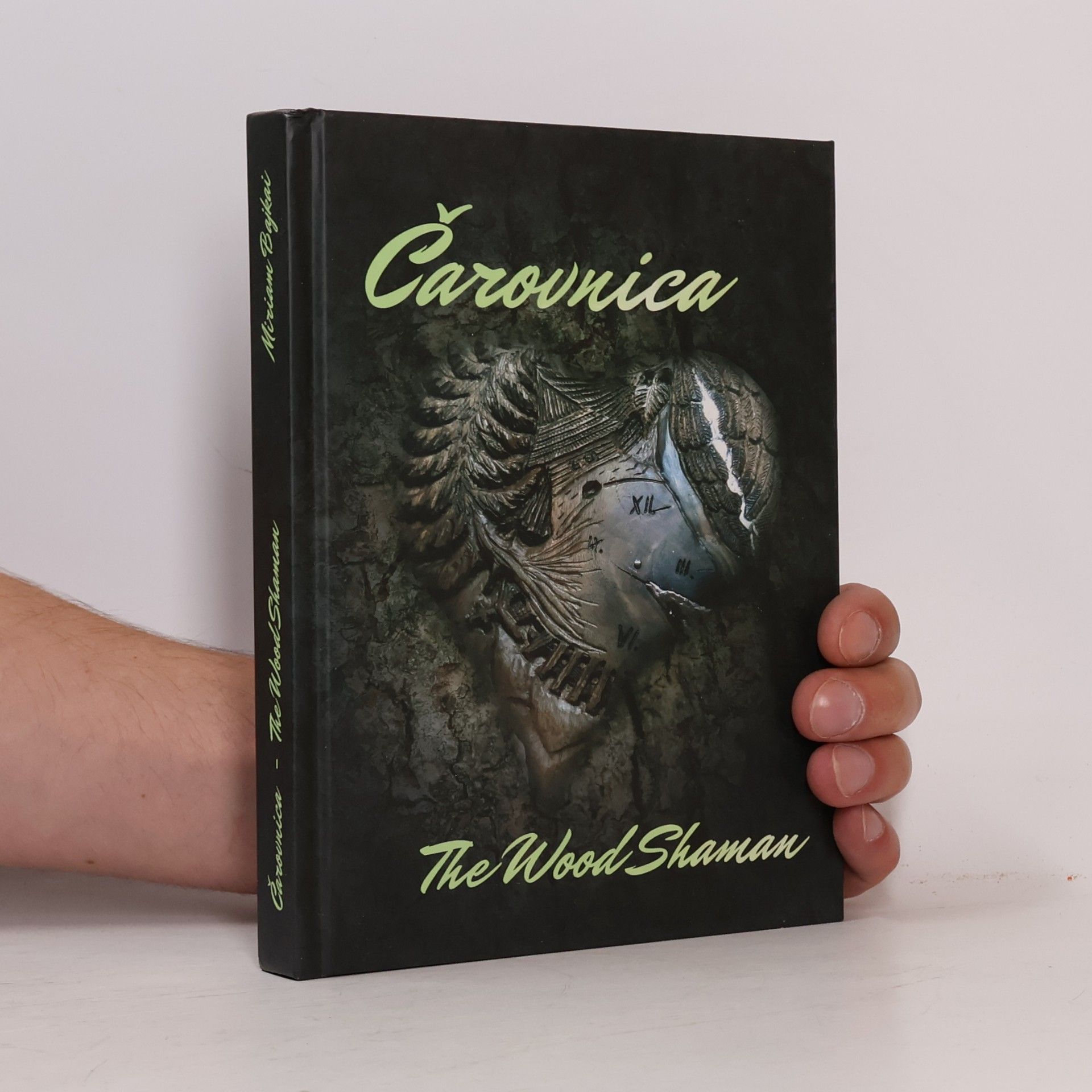 Miriam Bajkai Čarovnica = The wood shaman