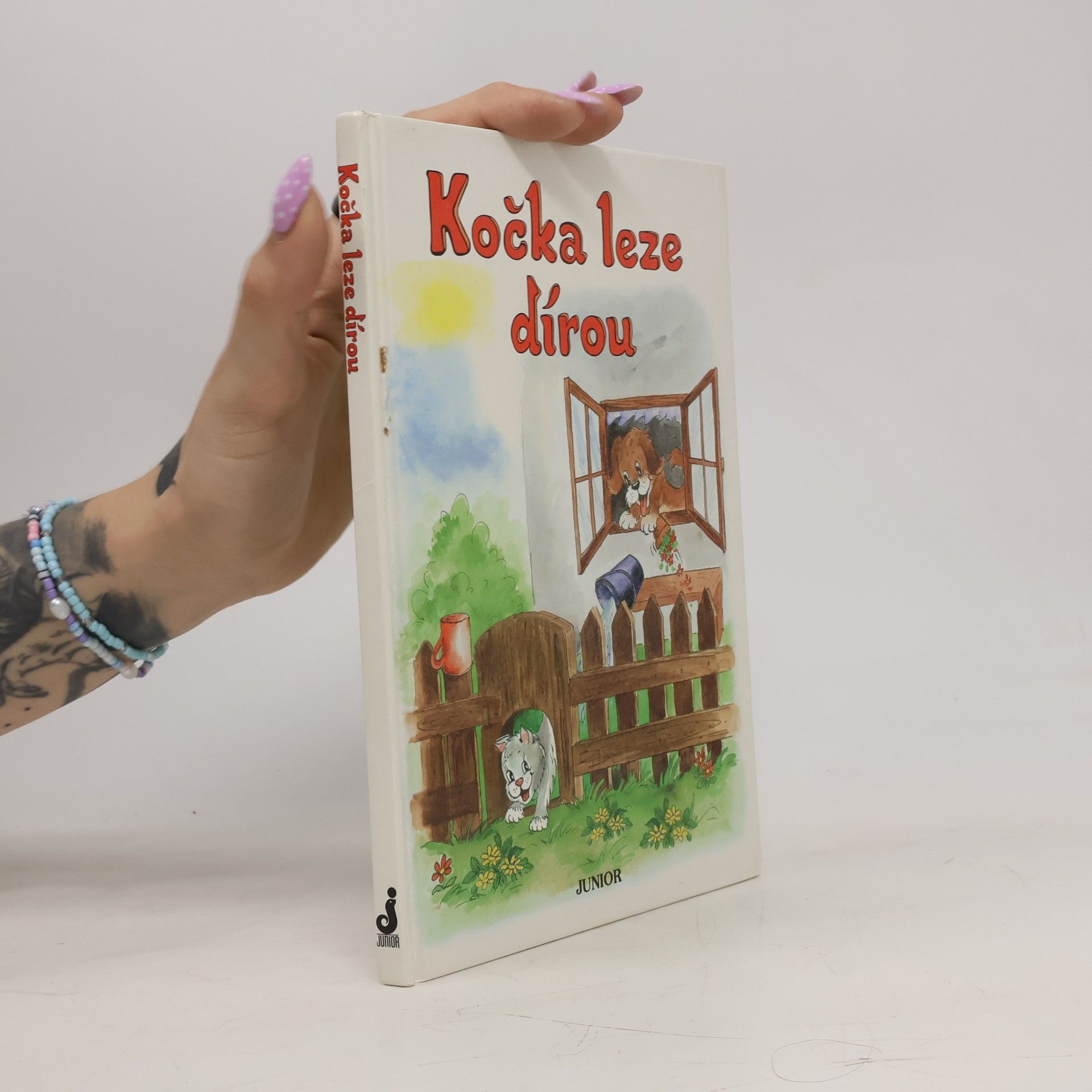 Vladimíra Vopičková Kočka leze dírou