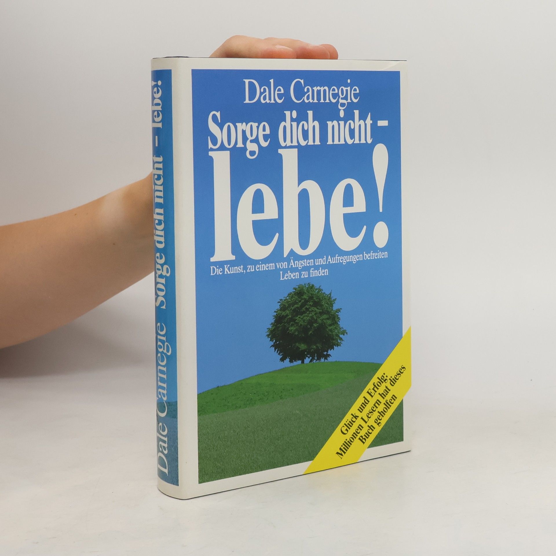 Dale Carnegie Sorge dich nicht - lebe!