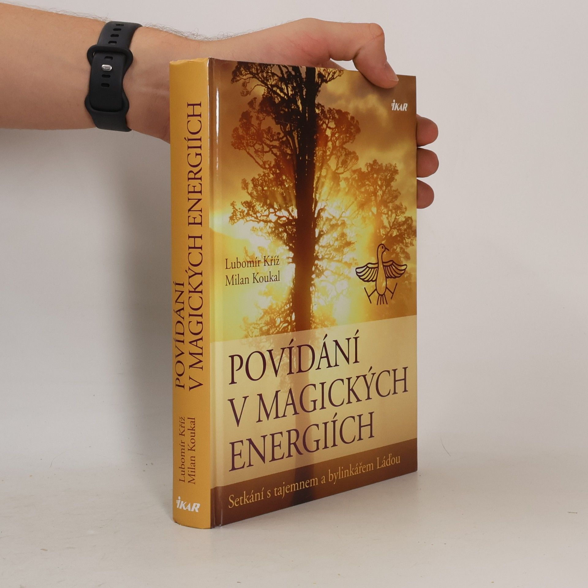 Lubomír Kříž Povídání v magických energiích