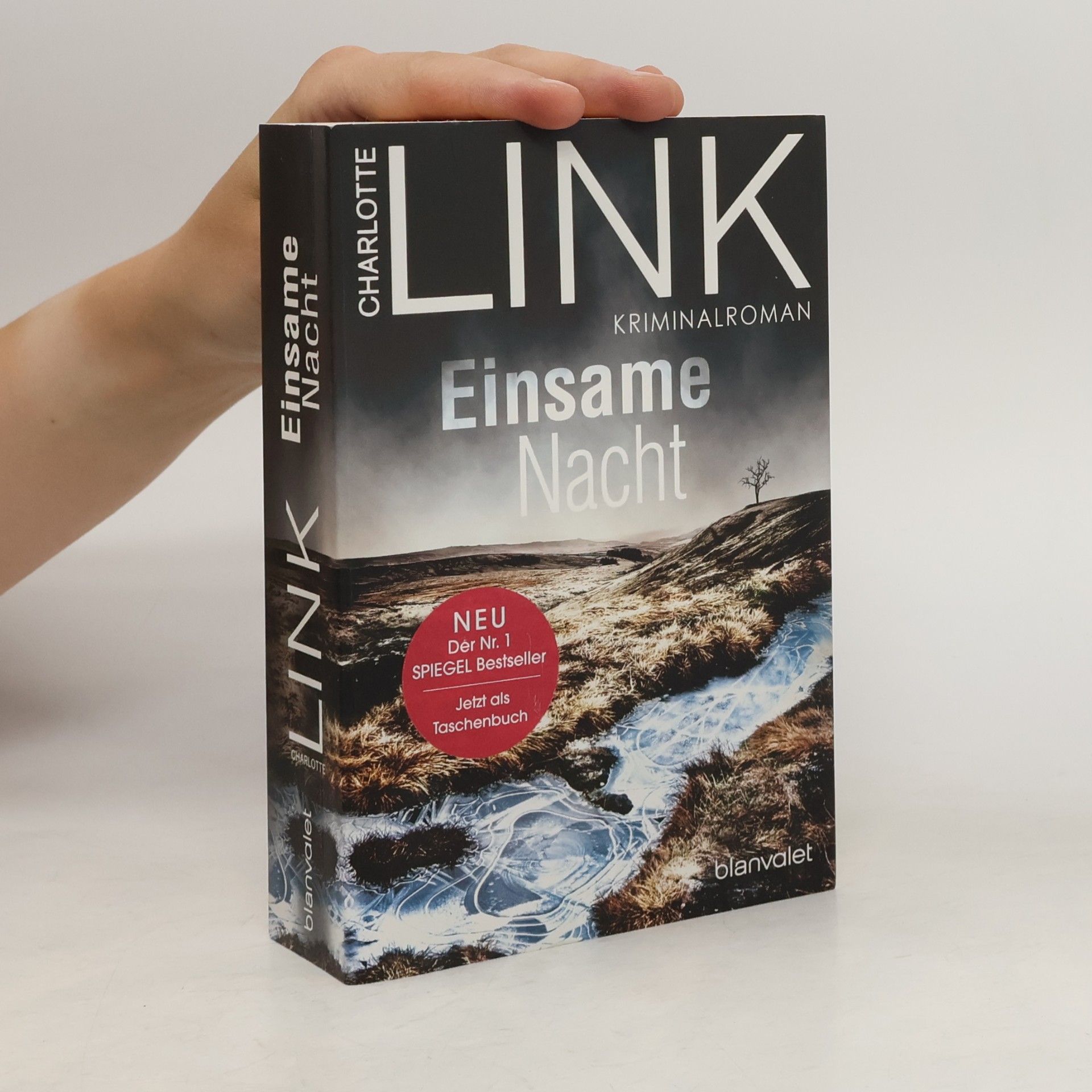 Charlotte Link Einsame Nacht