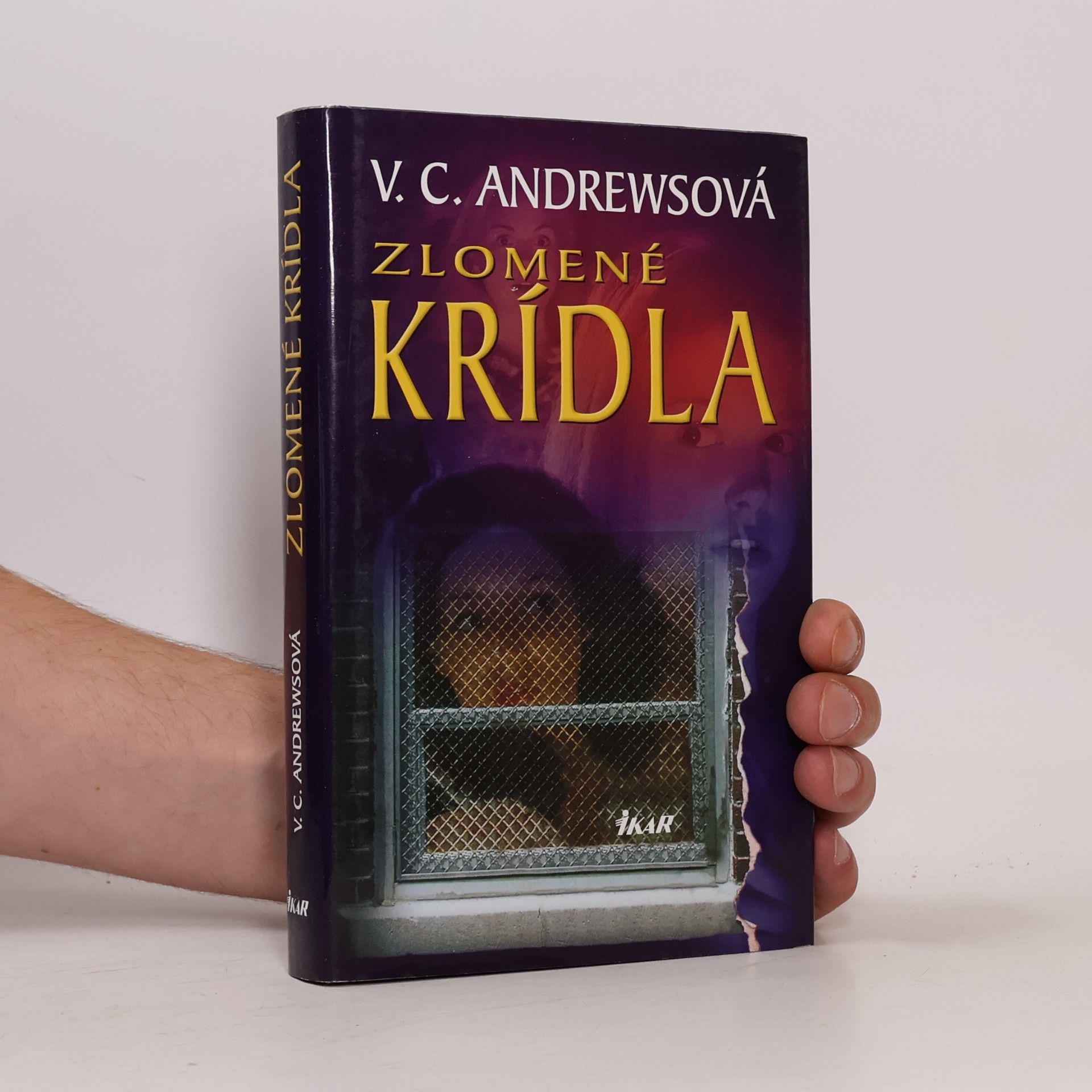 Virginia Cleo Andrews Zlomené krídla