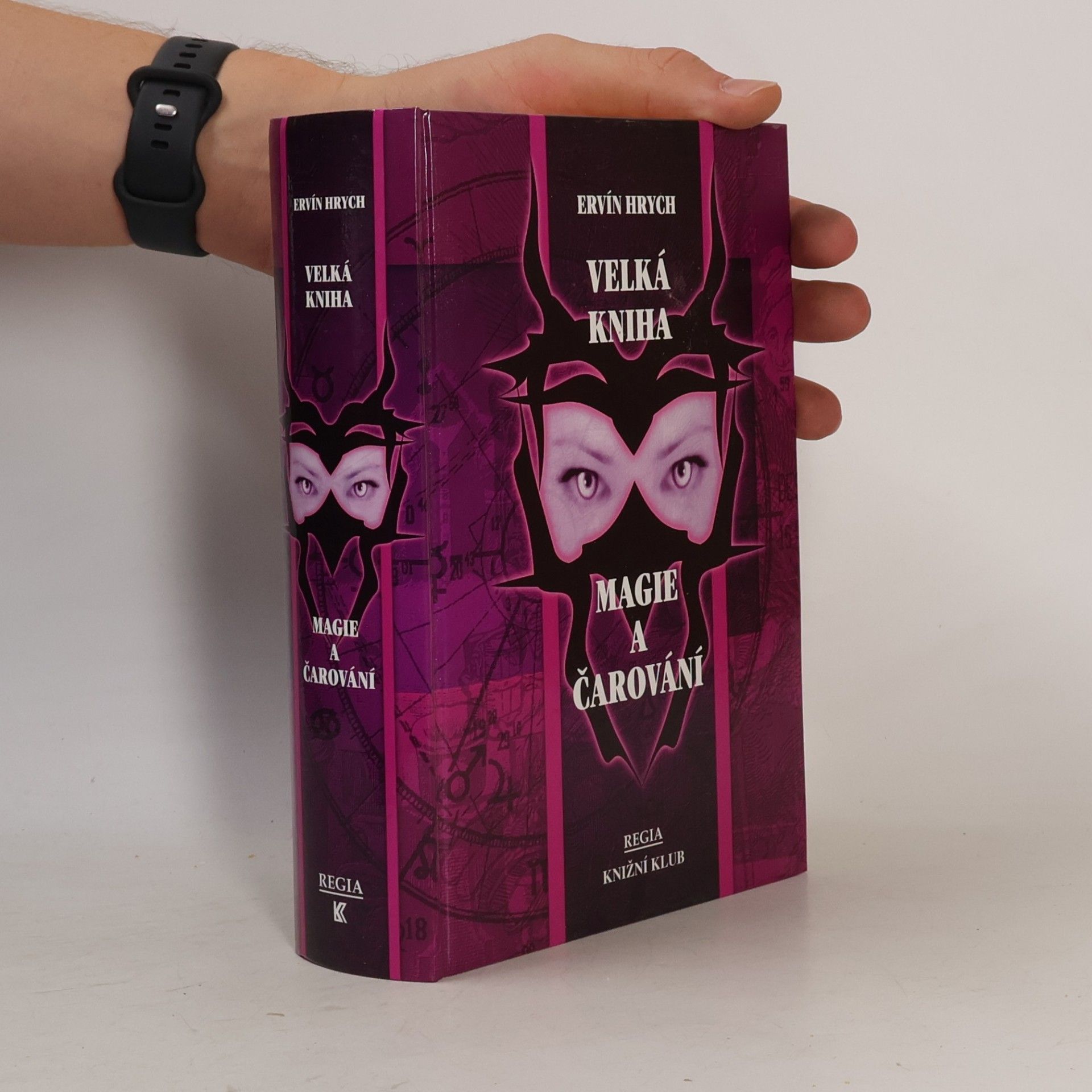 Ervín Hrych Velká kniha magie a čarování